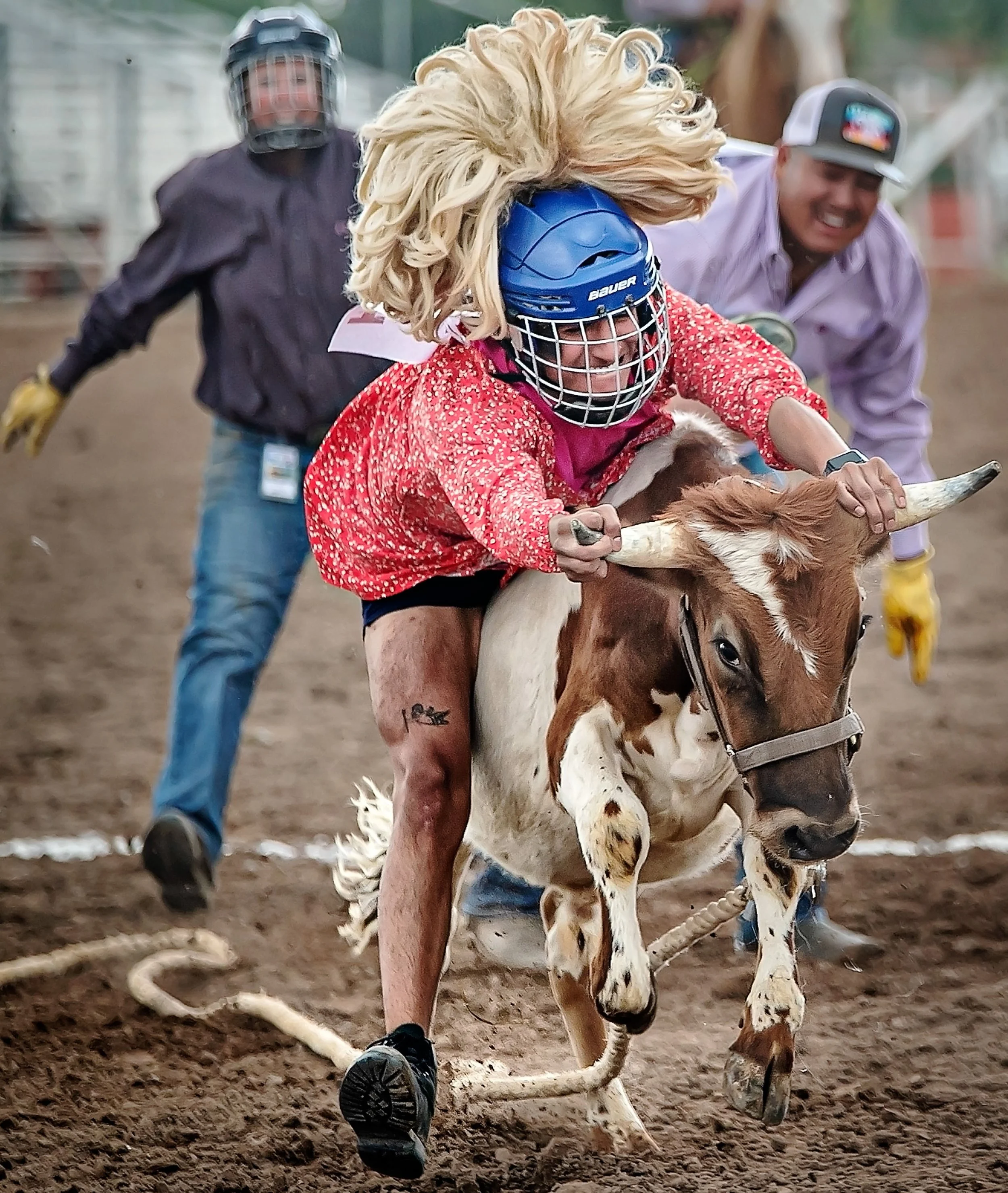  Nando Cole (center) passes the finish line but holds on for dear life to an agitated steer while competing in the wild drag race during the annual Zia Regional Rodeo, New Mexico’s only gay rodeo, on Aug. 28, 2021 on the grounds of the Rodeo de Santa