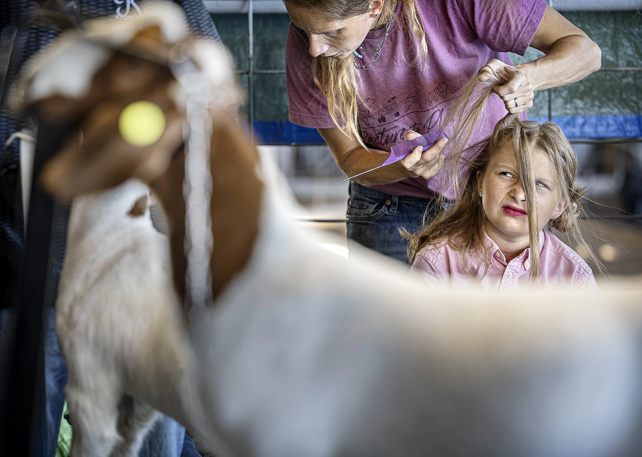 Cora Zielie, 9, gets some help from her mother Lena Zielie getting ready for the goat show as the Santa Fe County Fair kicks into cuteness overdrive with the goat show, lamb show and rabbit show running consecutively on Wednesday, July 29, 2026.  
