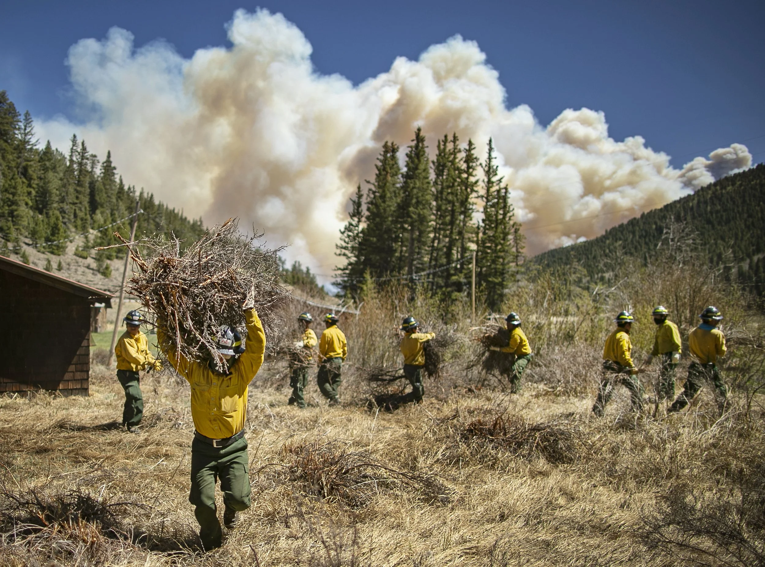 PSES_9013318174_WILDFIRE_01.jpg