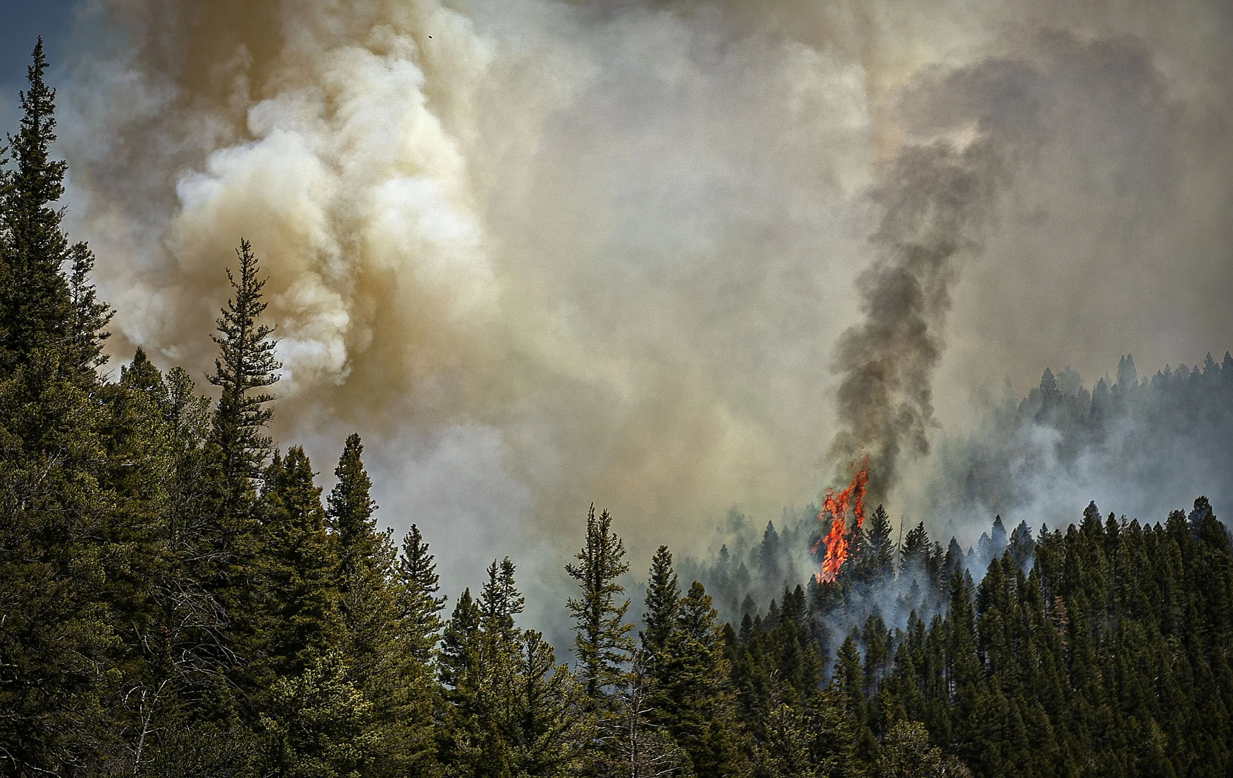PSES_9013318174_WILDFIRE_04.jpg