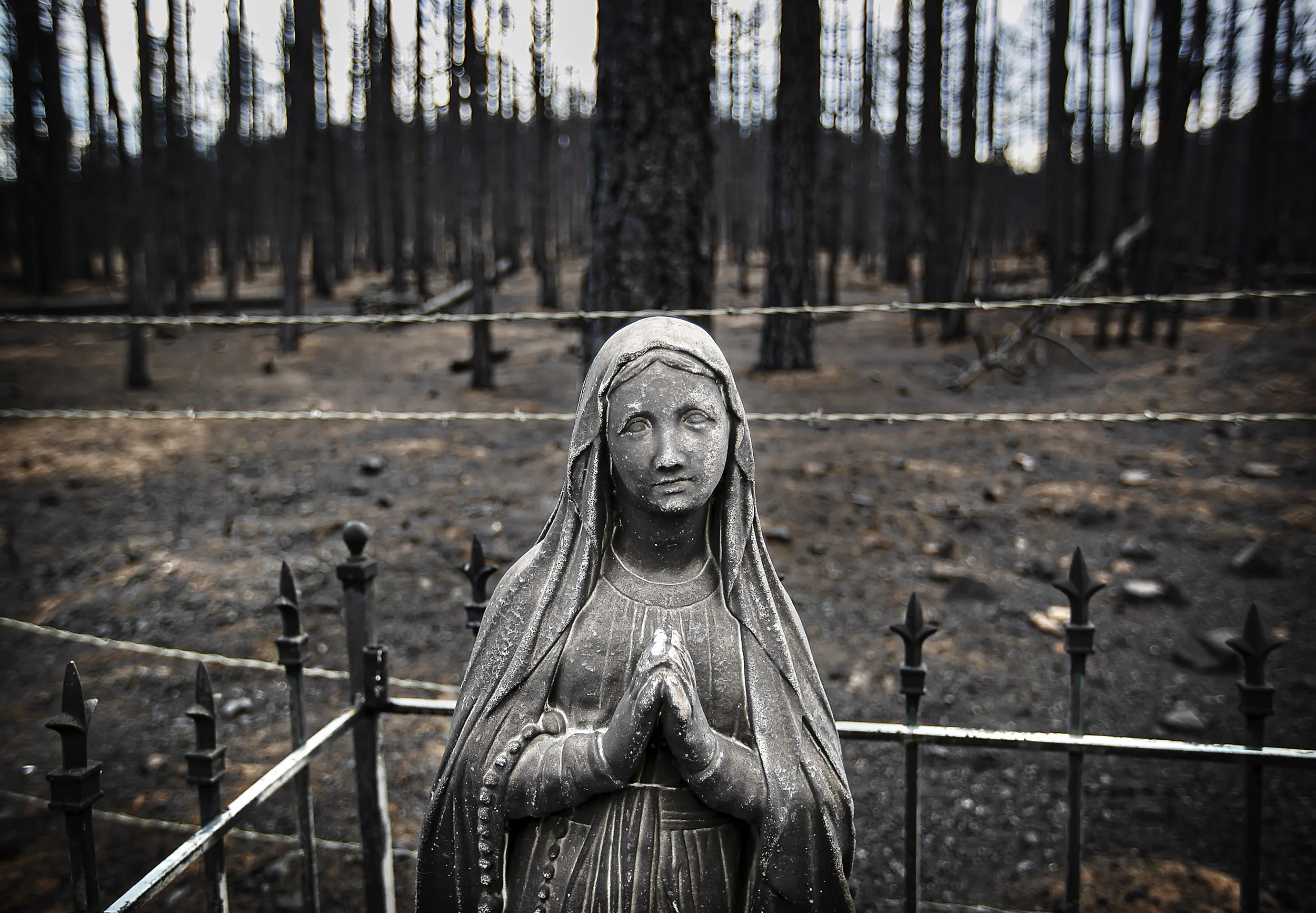 PSES_9013318174_WILDFIRE_06.jpg