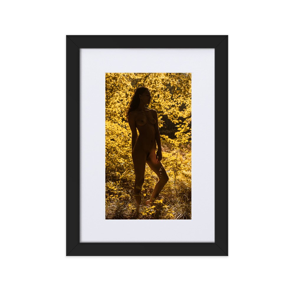 matte-paper-framed-poster-with-mat-(cm)-black-21x30-cm-transparent-660368ac65625.jpg