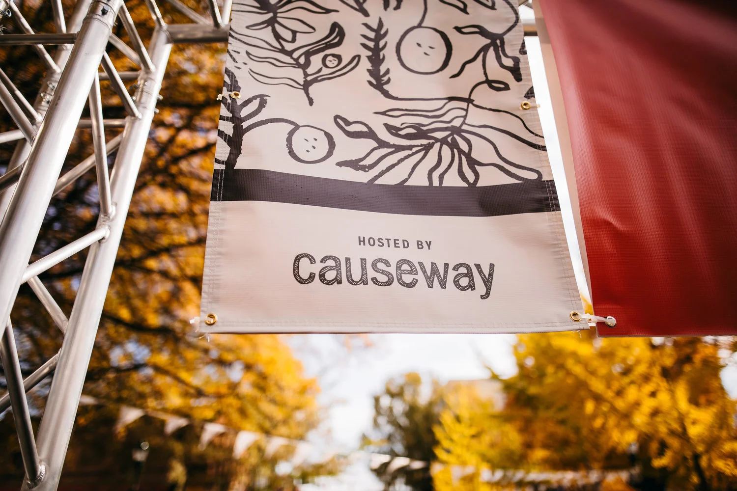 image-asset (1).jpeg