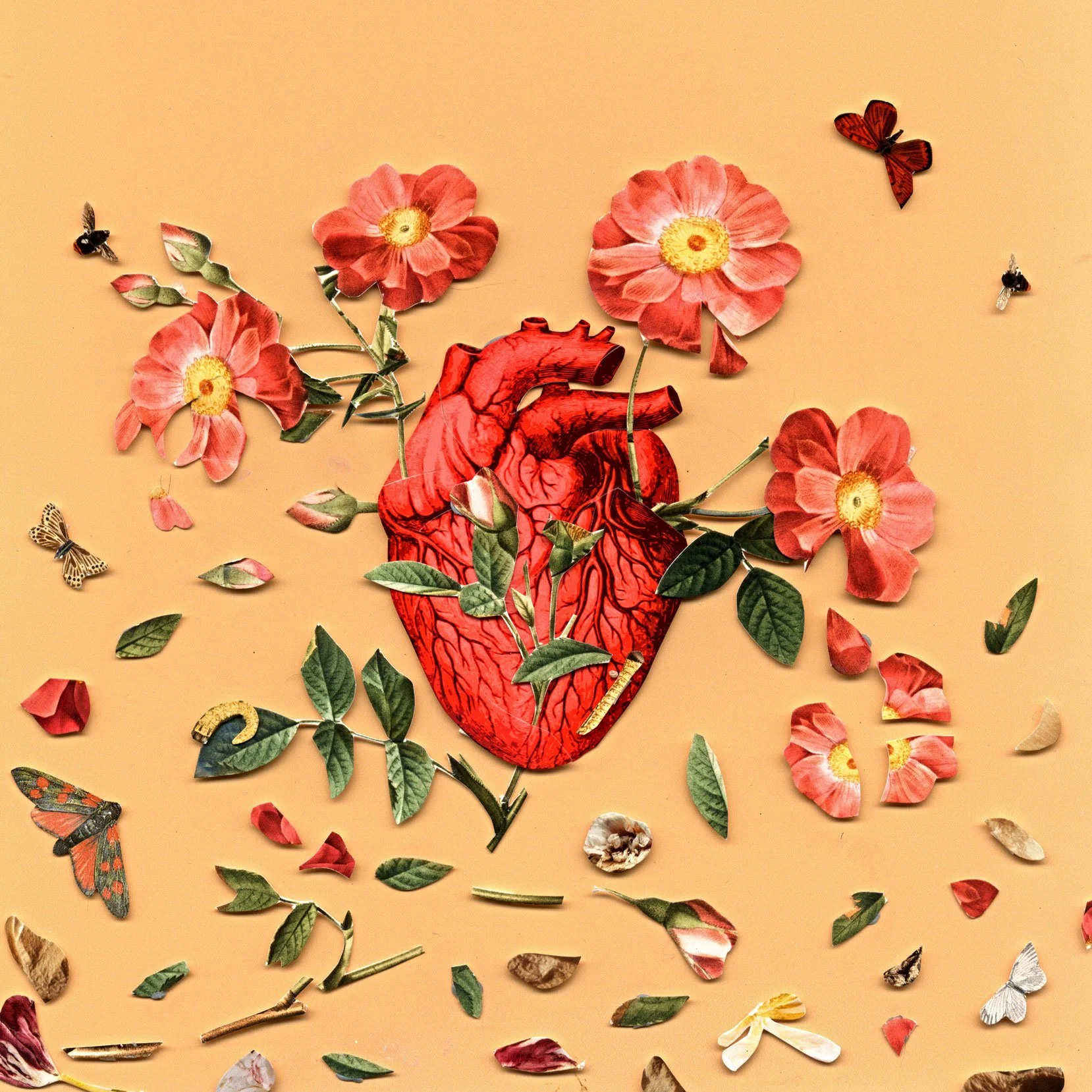 HEARTfinal_smaller.jpg