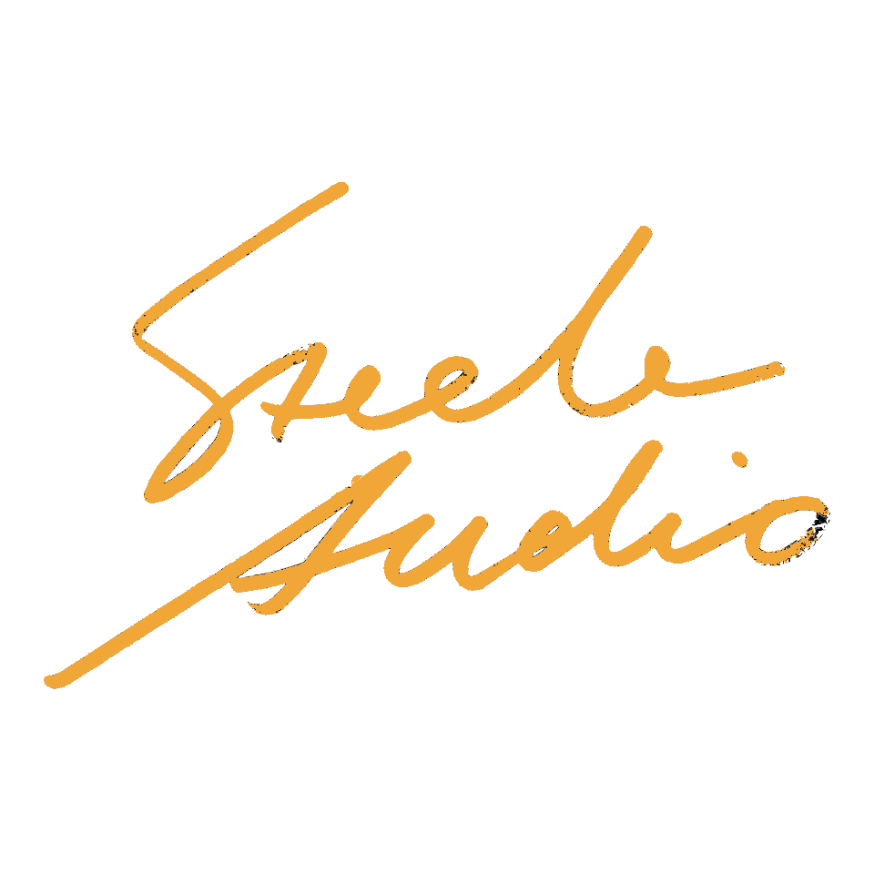 Steele Audio