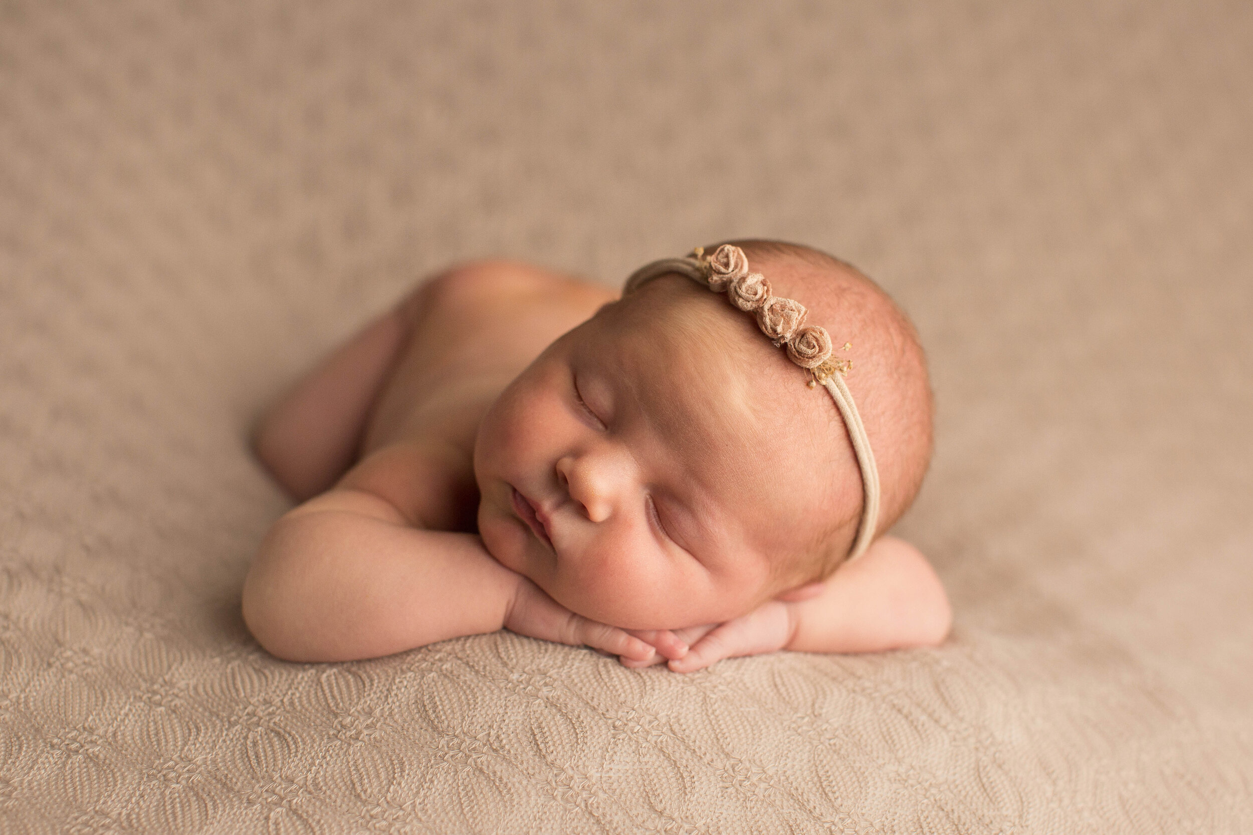 Nashville Newborn Photographer/Wendy Hardin Photographer 