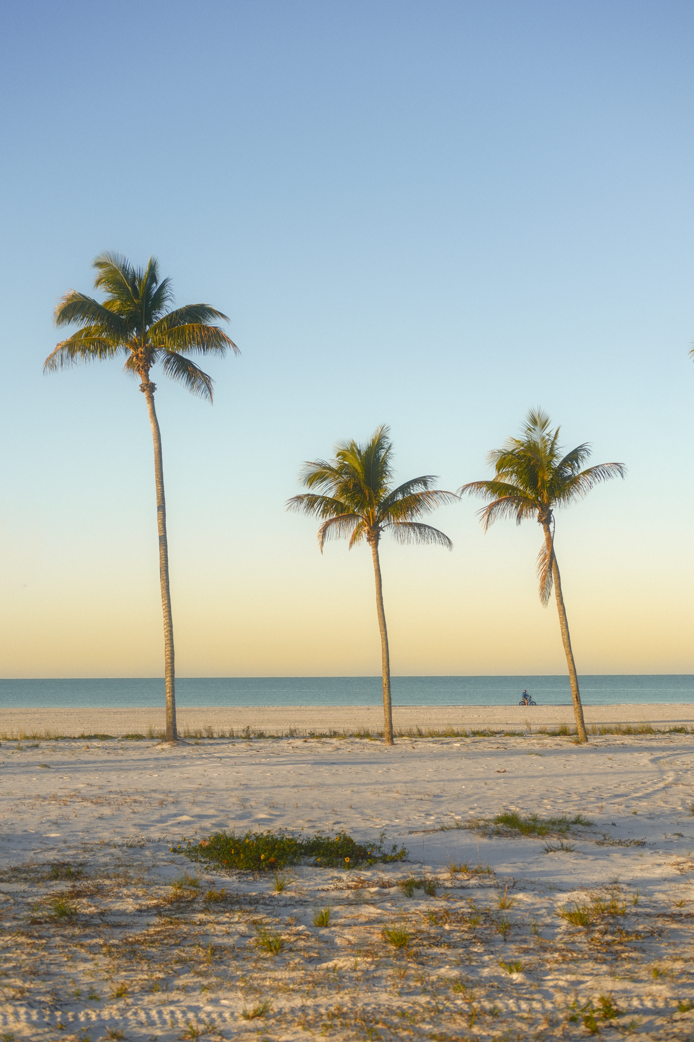 Travel Website Smal-75.png