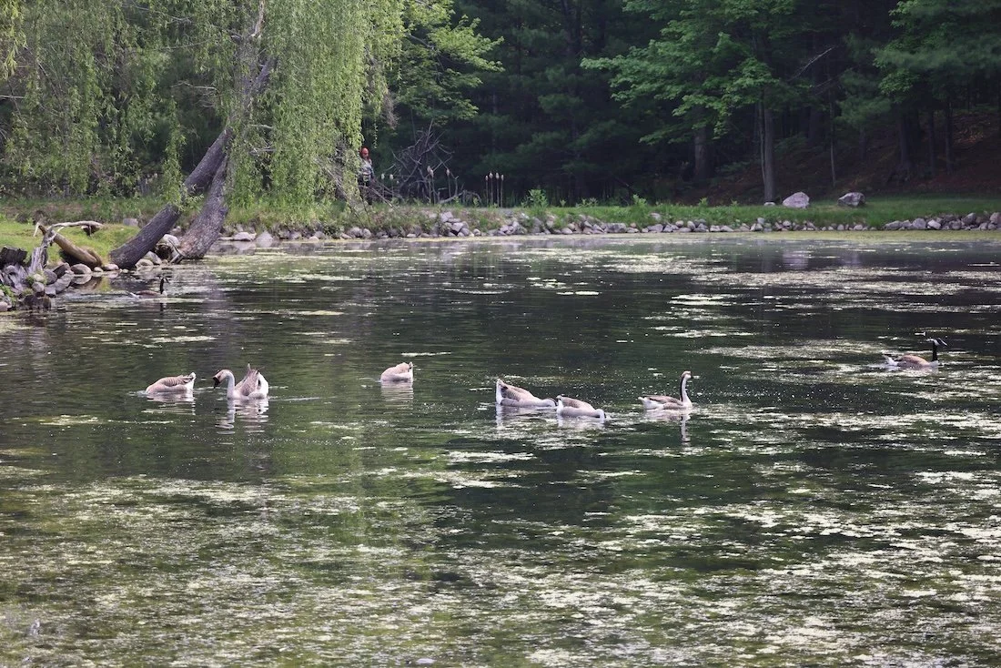 On the Mend Fly Fishing Retreat 2025 91.JPG