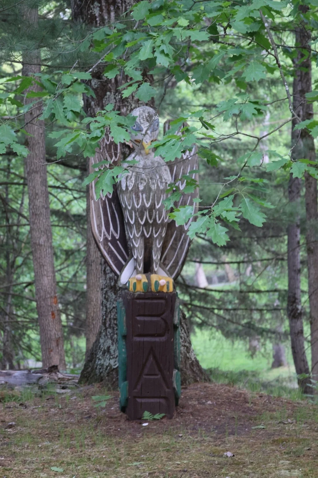 On the Mend Fly Fishing Retreat 2025 36.JPG