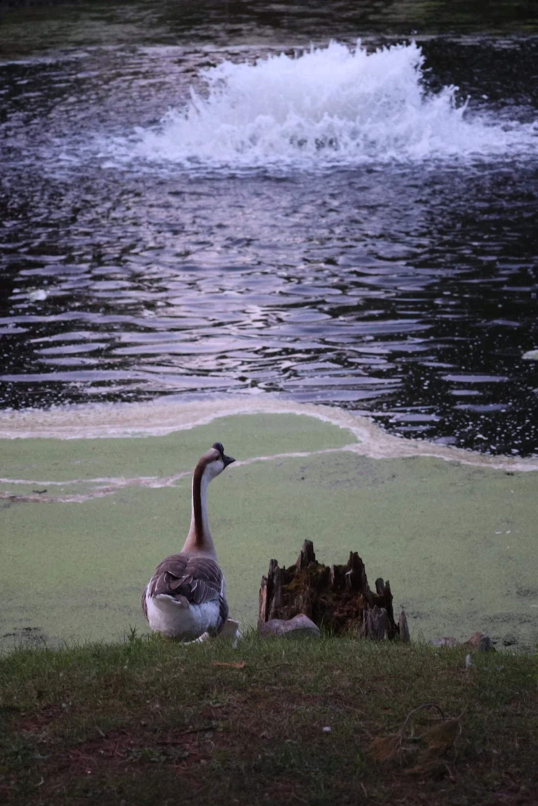 On the Mend Fly Fishing Retreat 2025 46.JPG