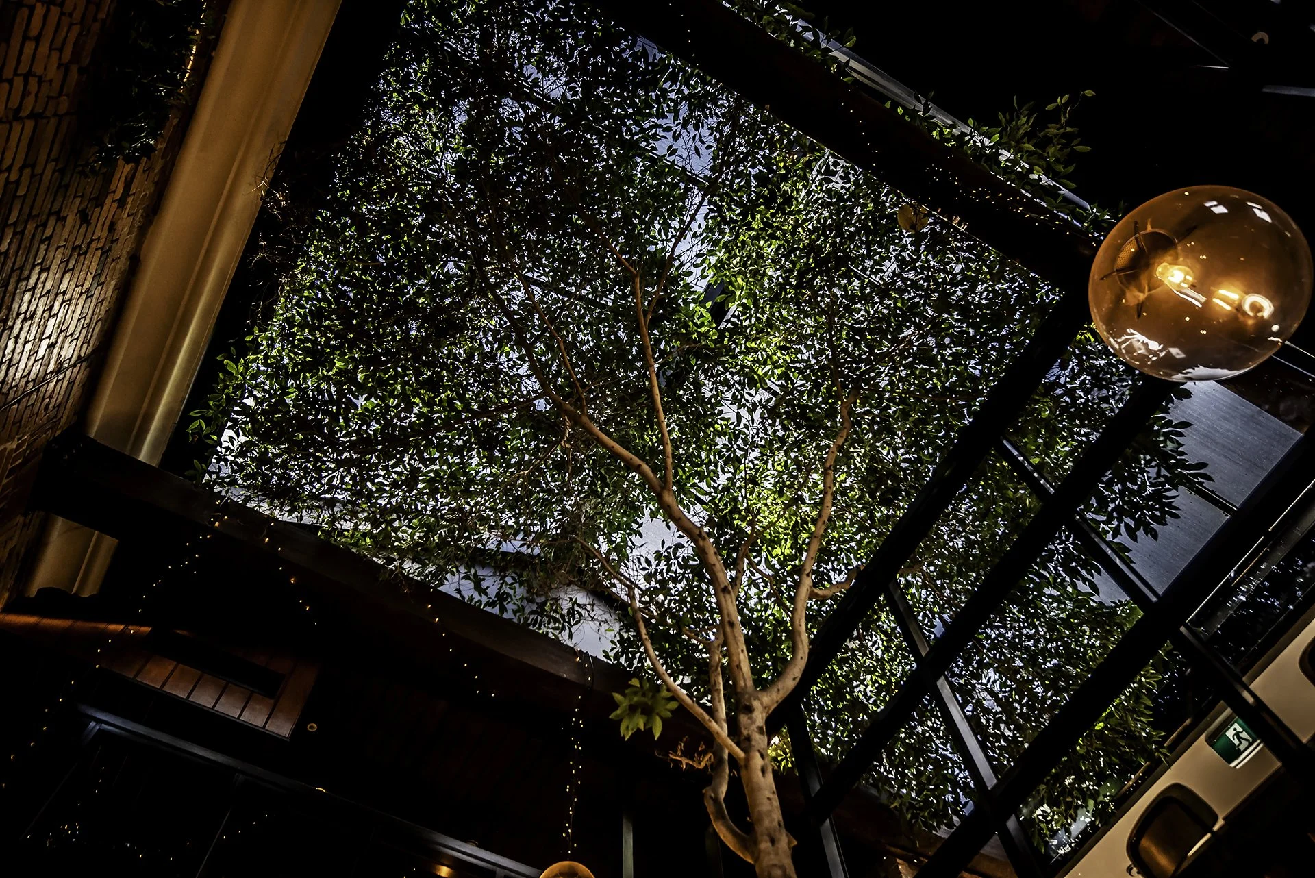 Indoor courtyard with a tree in the center, surrounded by glass walls and ceiling, with a hanging light fixture and string lights along the top edge.