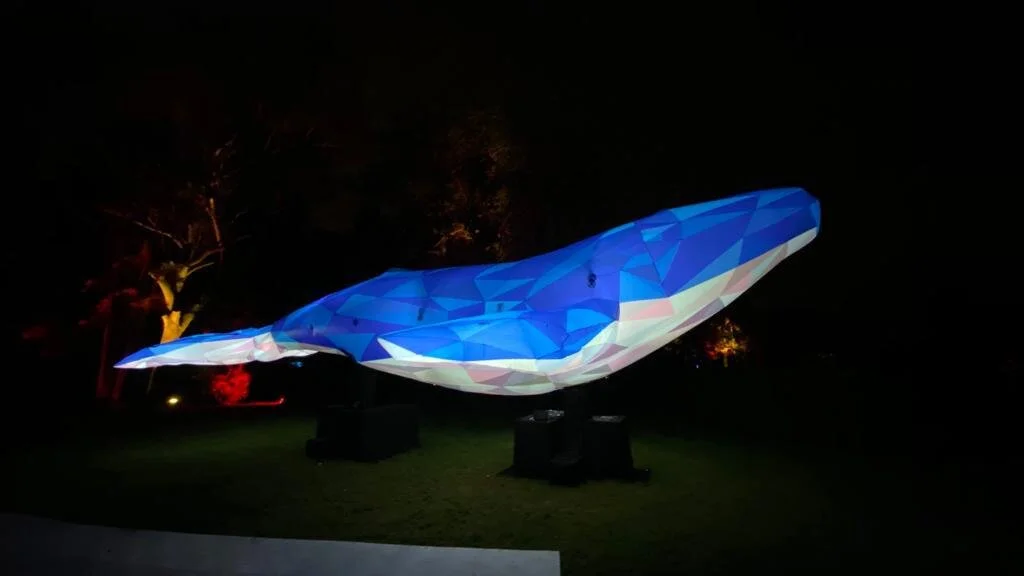 HALO - LIFE BELOW WATER 2021