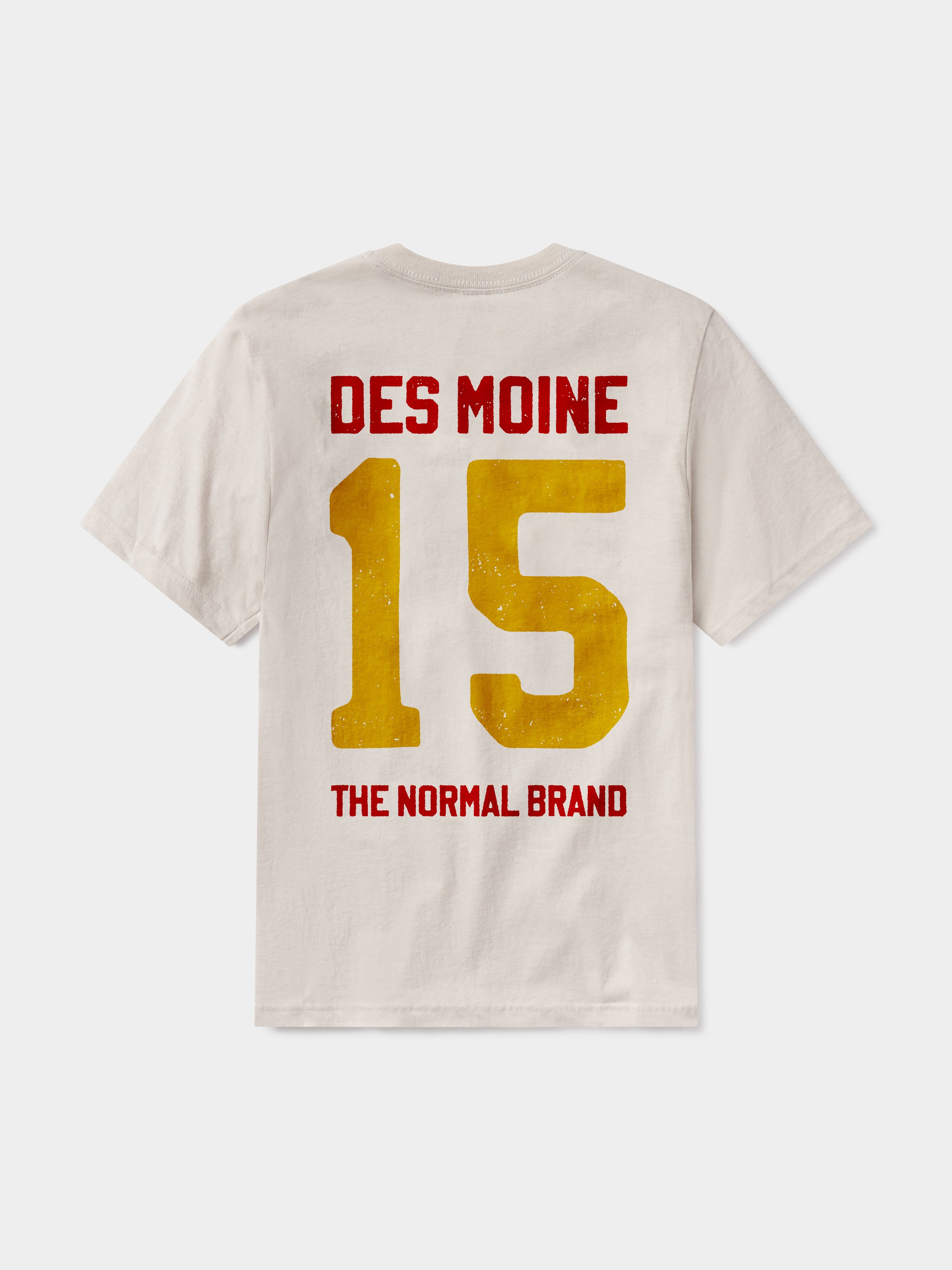 TNB_SHIRT_DESMOINE_Back_15.jpg