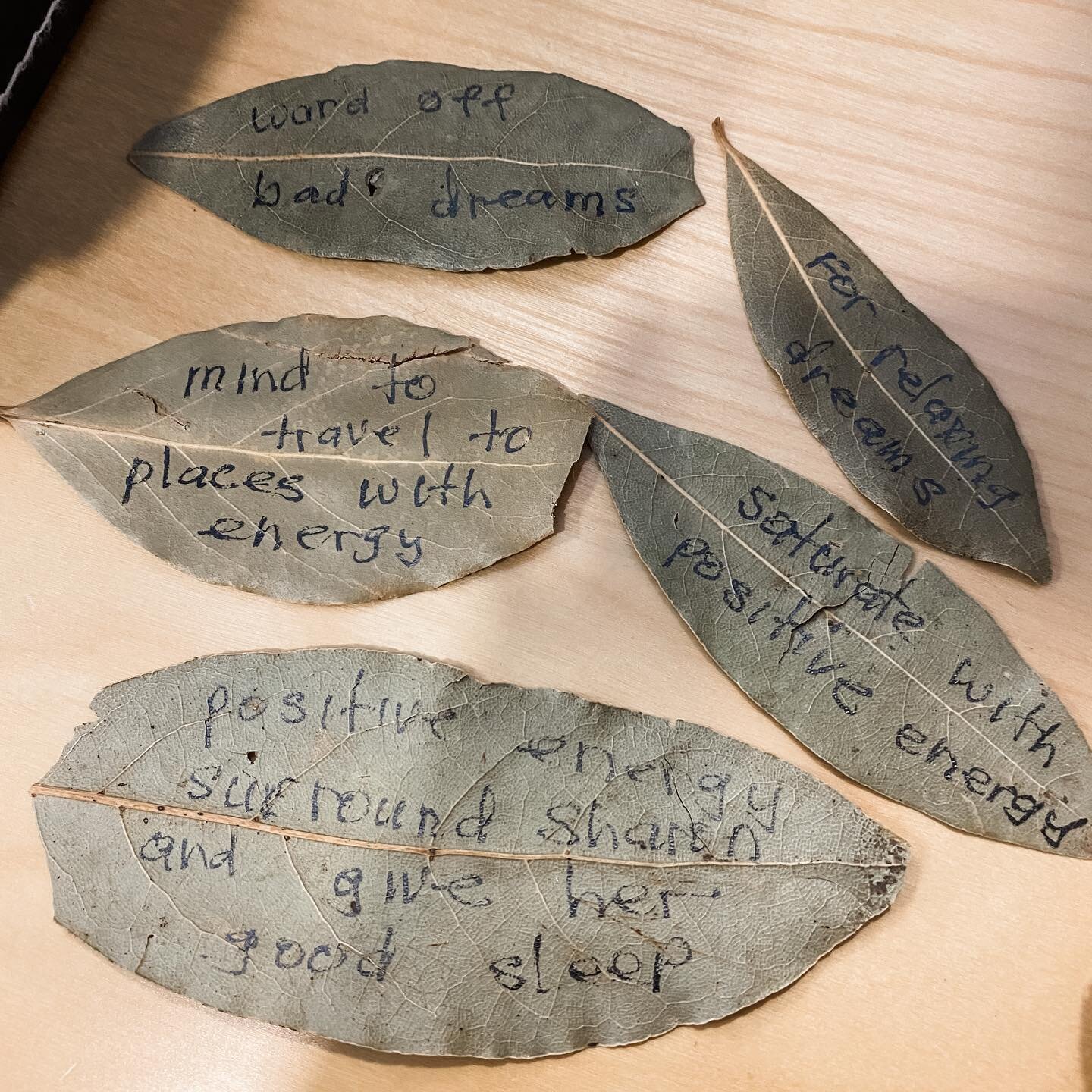 Love finding hidden gems with clients - these bay leaves were left behind by her late mother, which she had placed under pillows and mattresses 💓 🛌 

Departed souls always leave messages for us and there were so many signs during this memorable ses