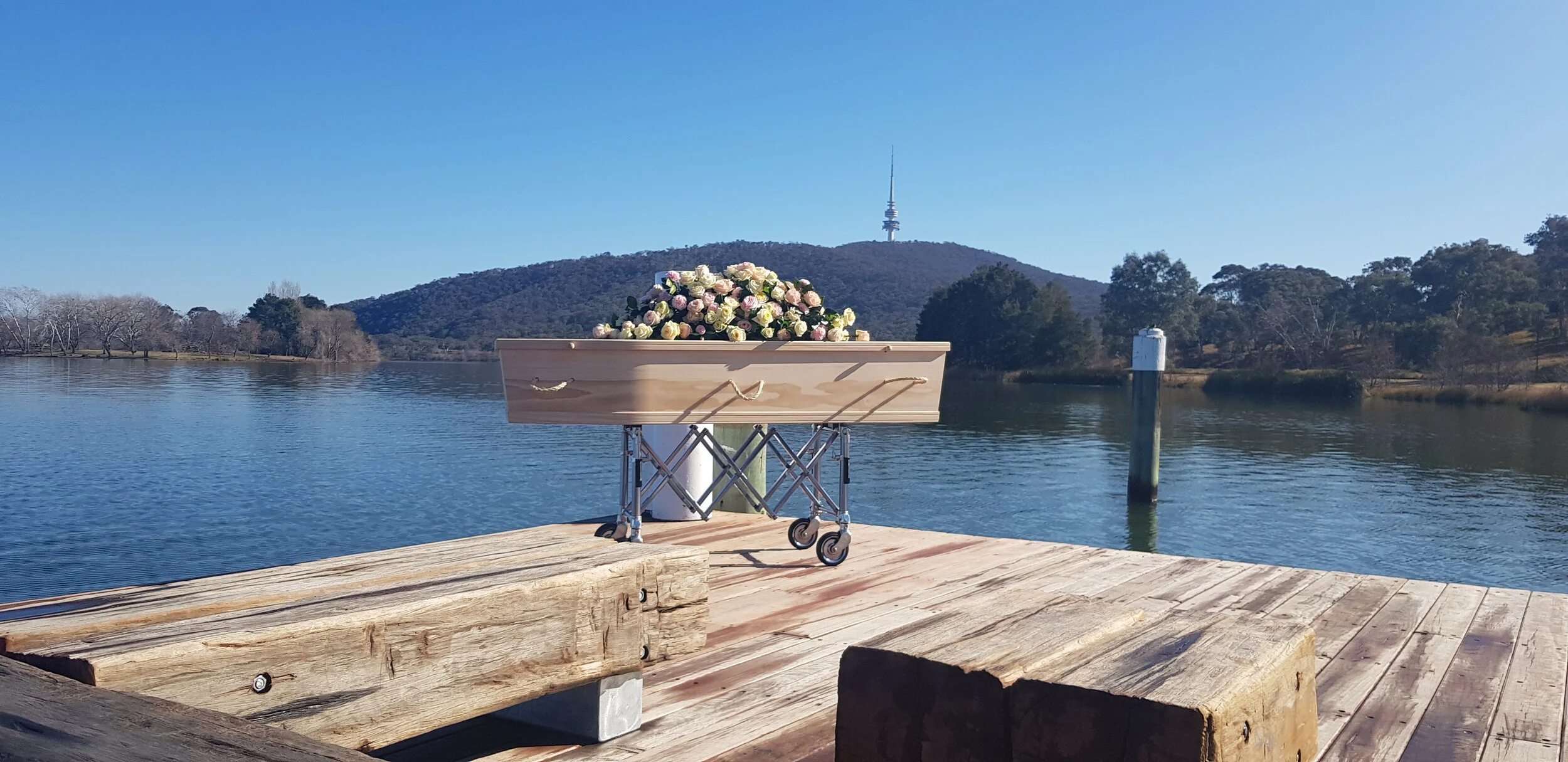 20190802_102047 (1).jpg