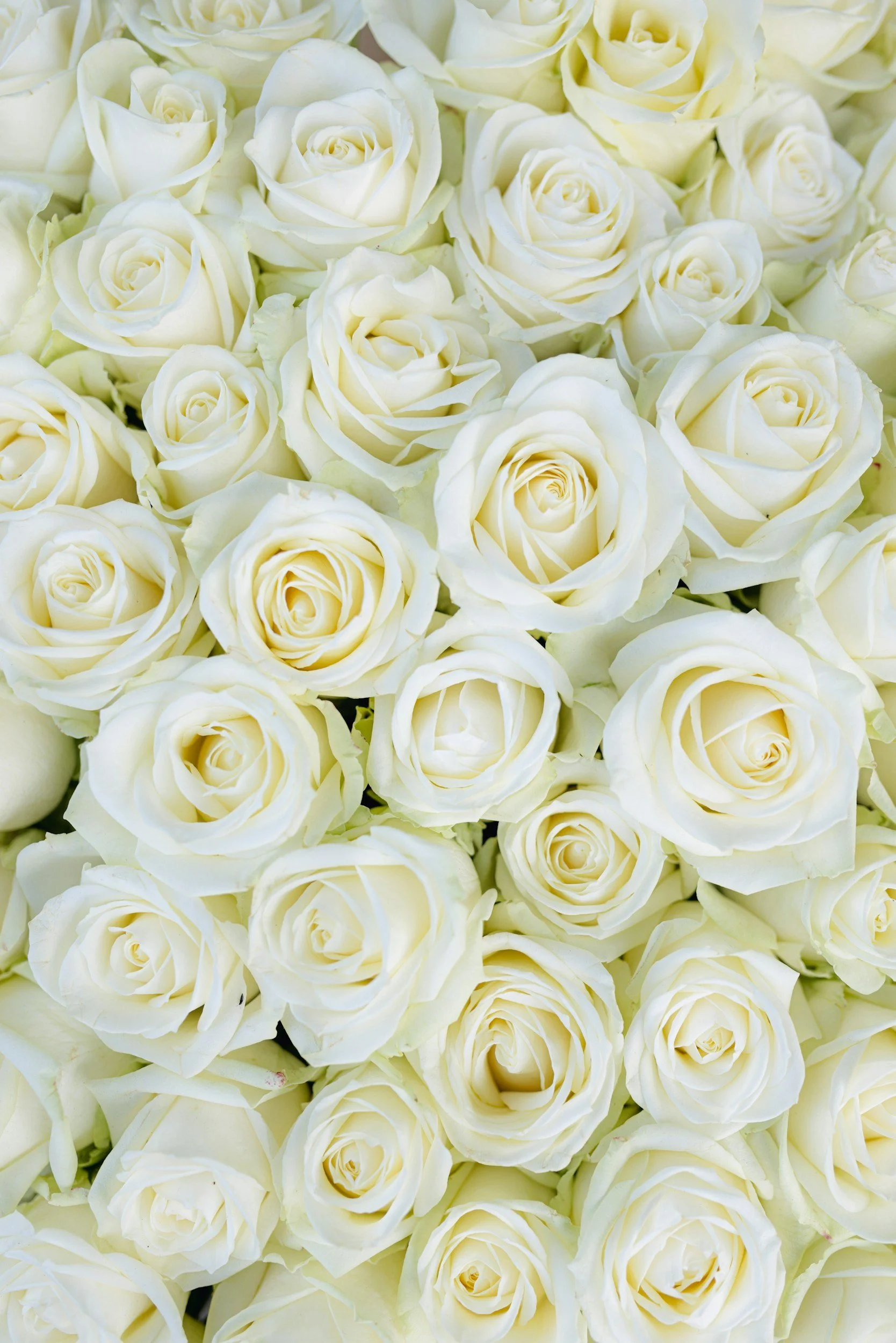 James ‘Jim’ Rule