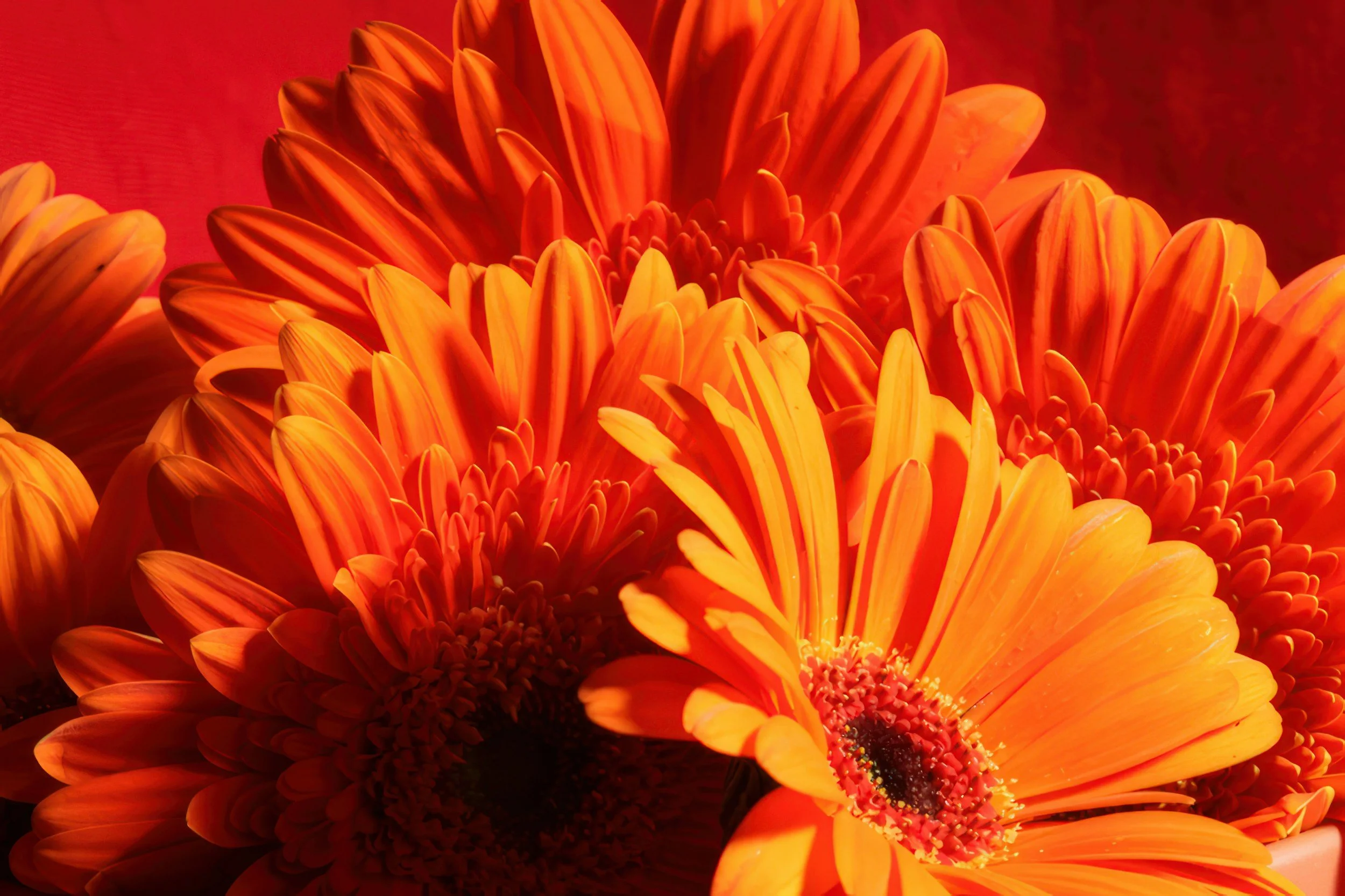 Robert ‘Rob’ Crafter