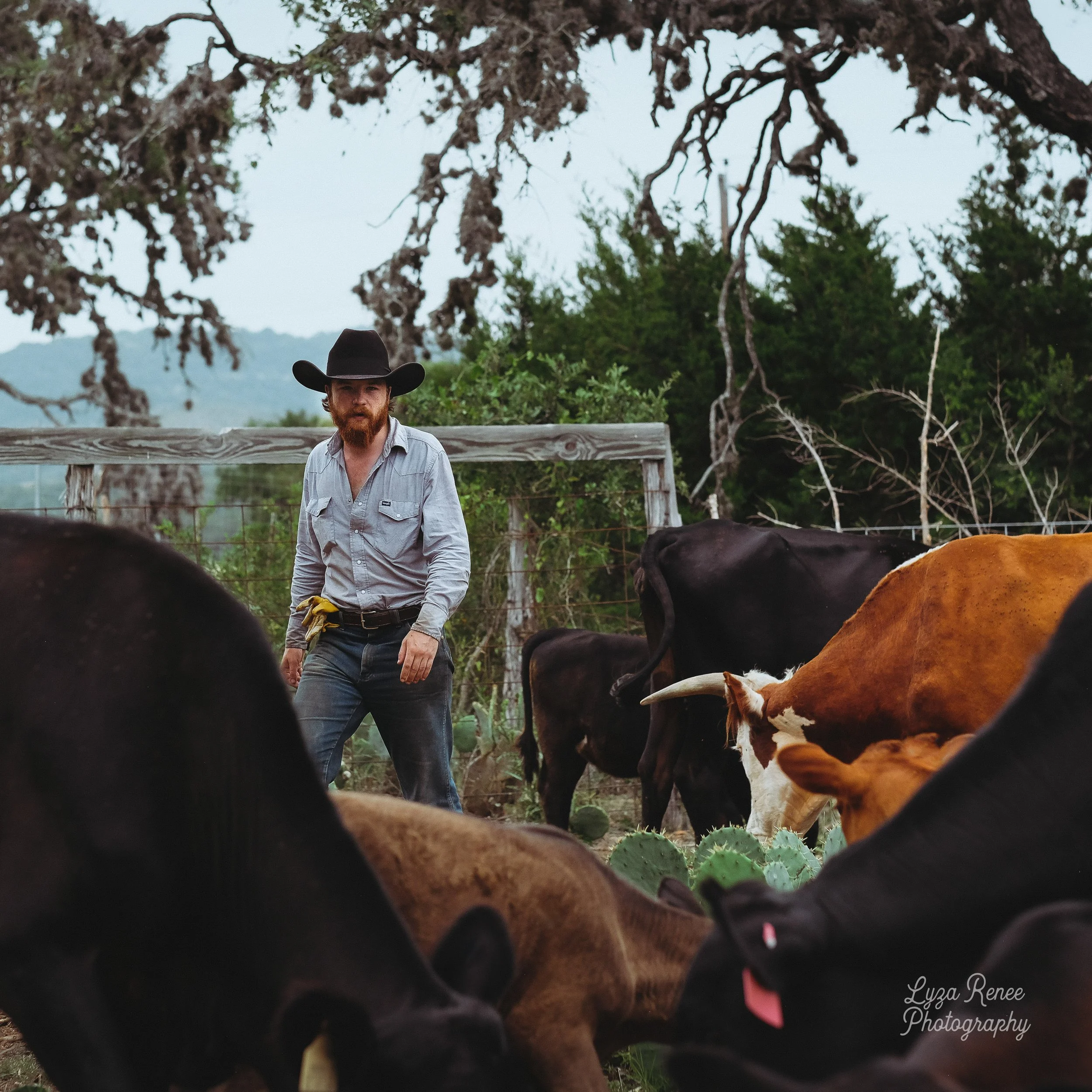 Colter Wall