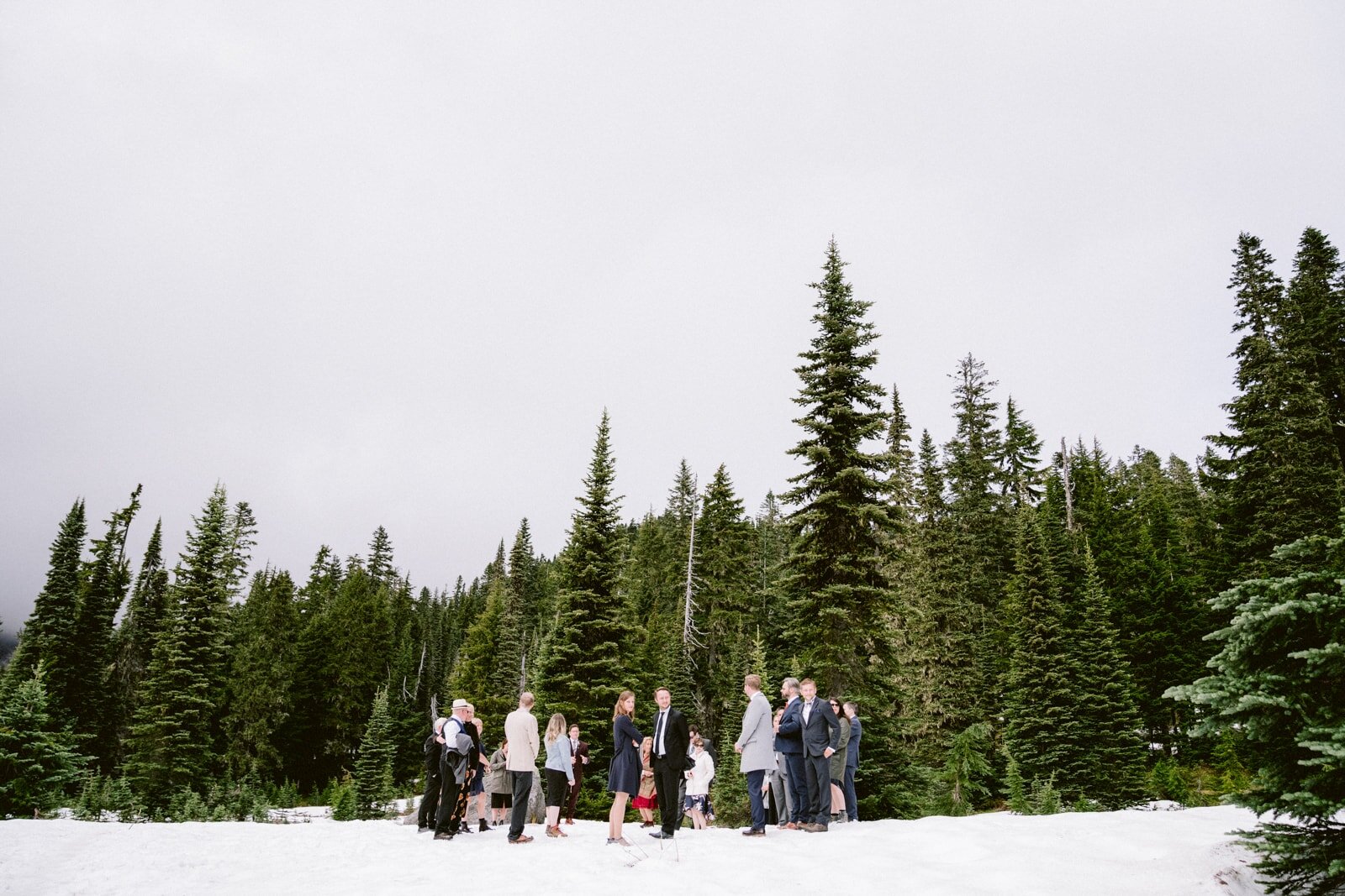 wedding ceremony at mount rainier 