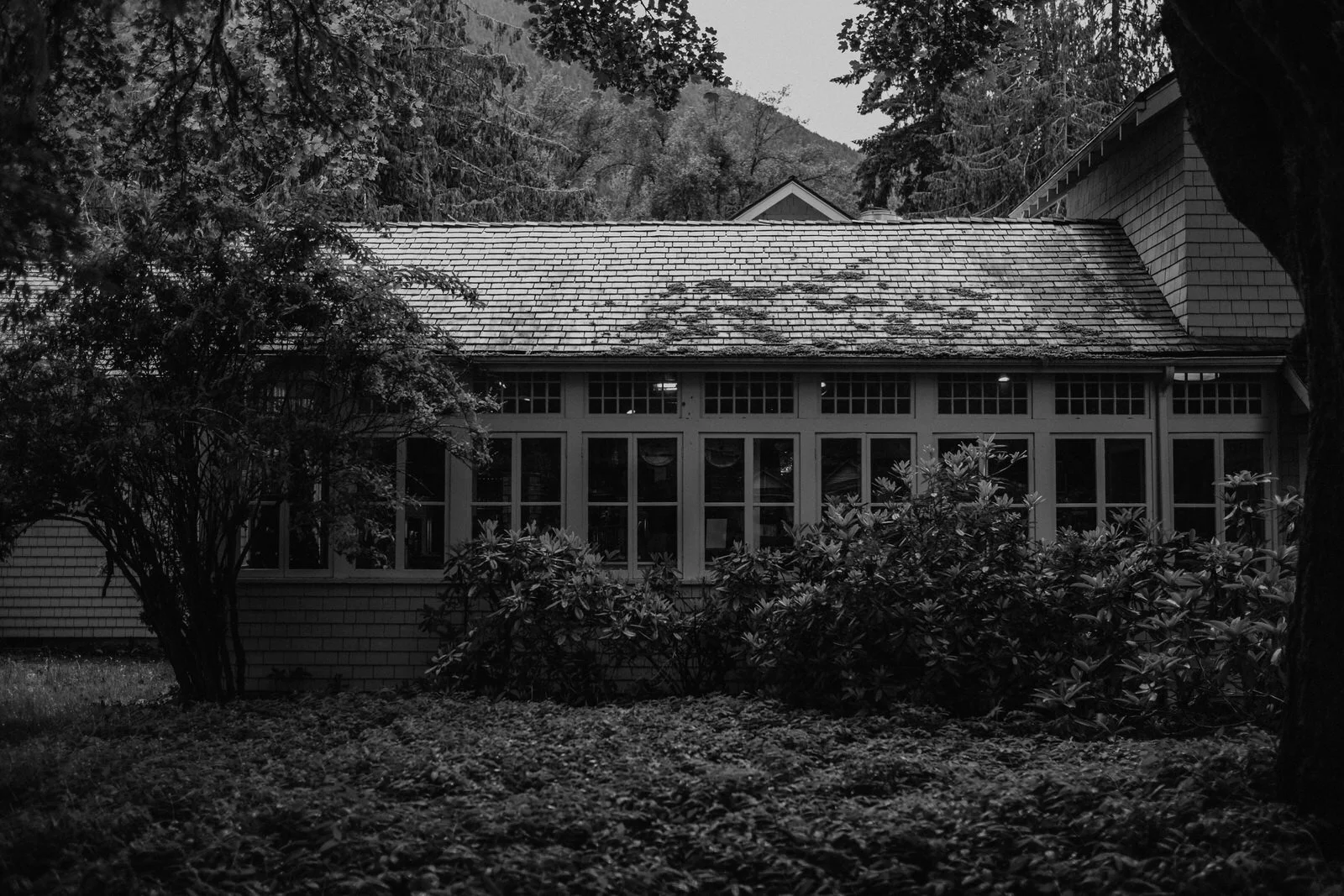 lake-crescent-lodge-wedding-1074.JPG