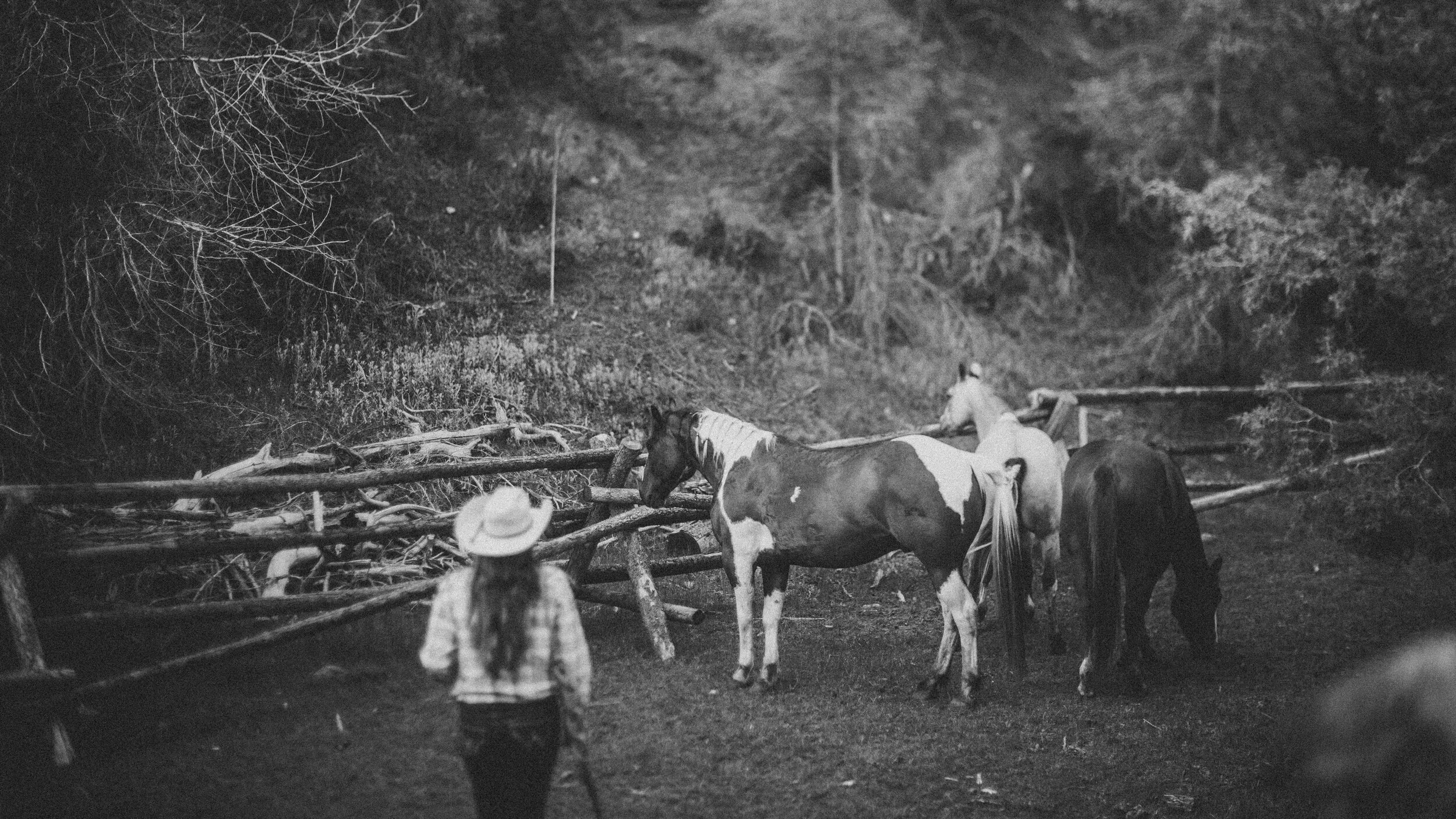 Brush Creek Ranch Wedding