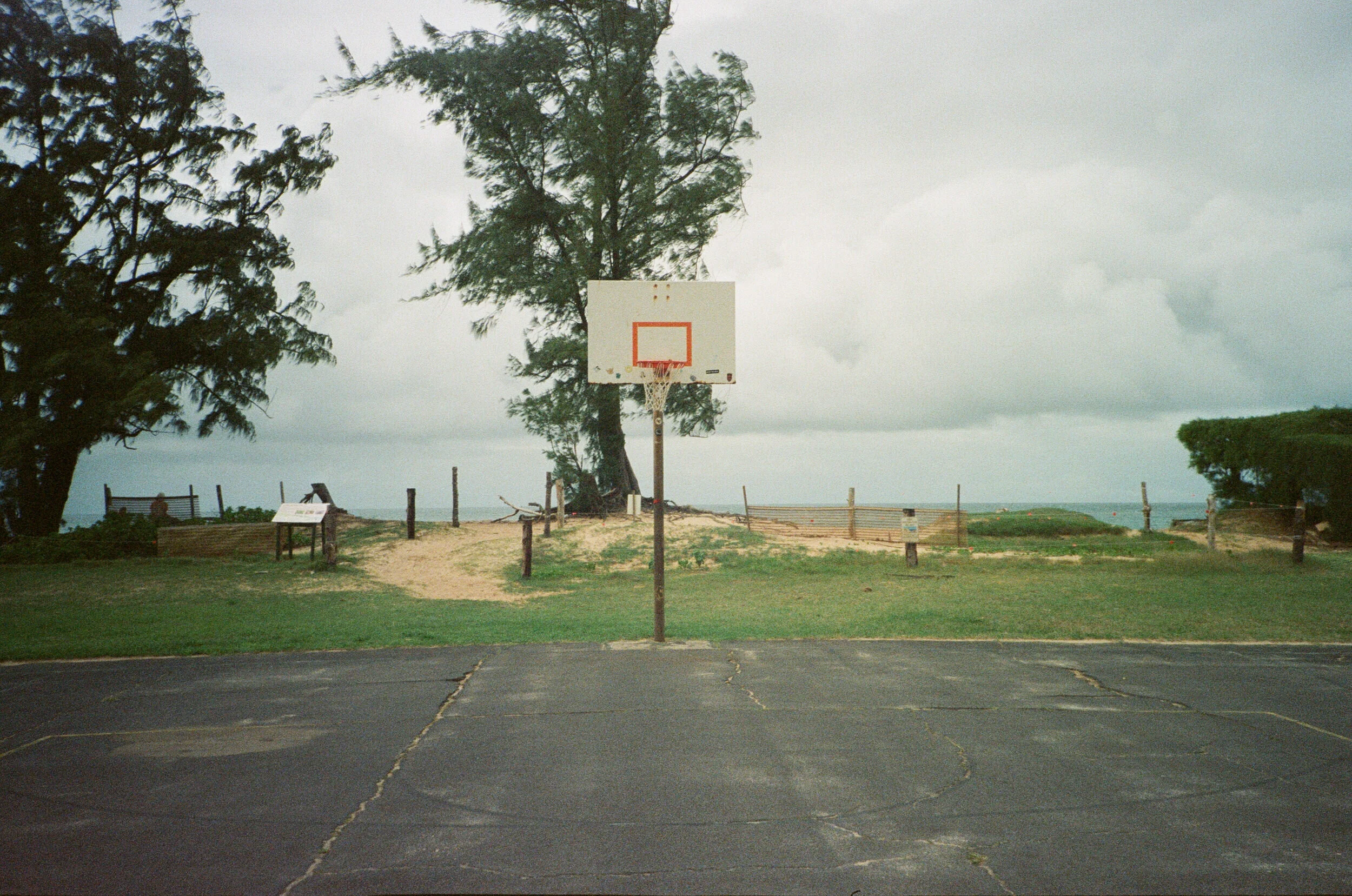 S01750201062.JPG