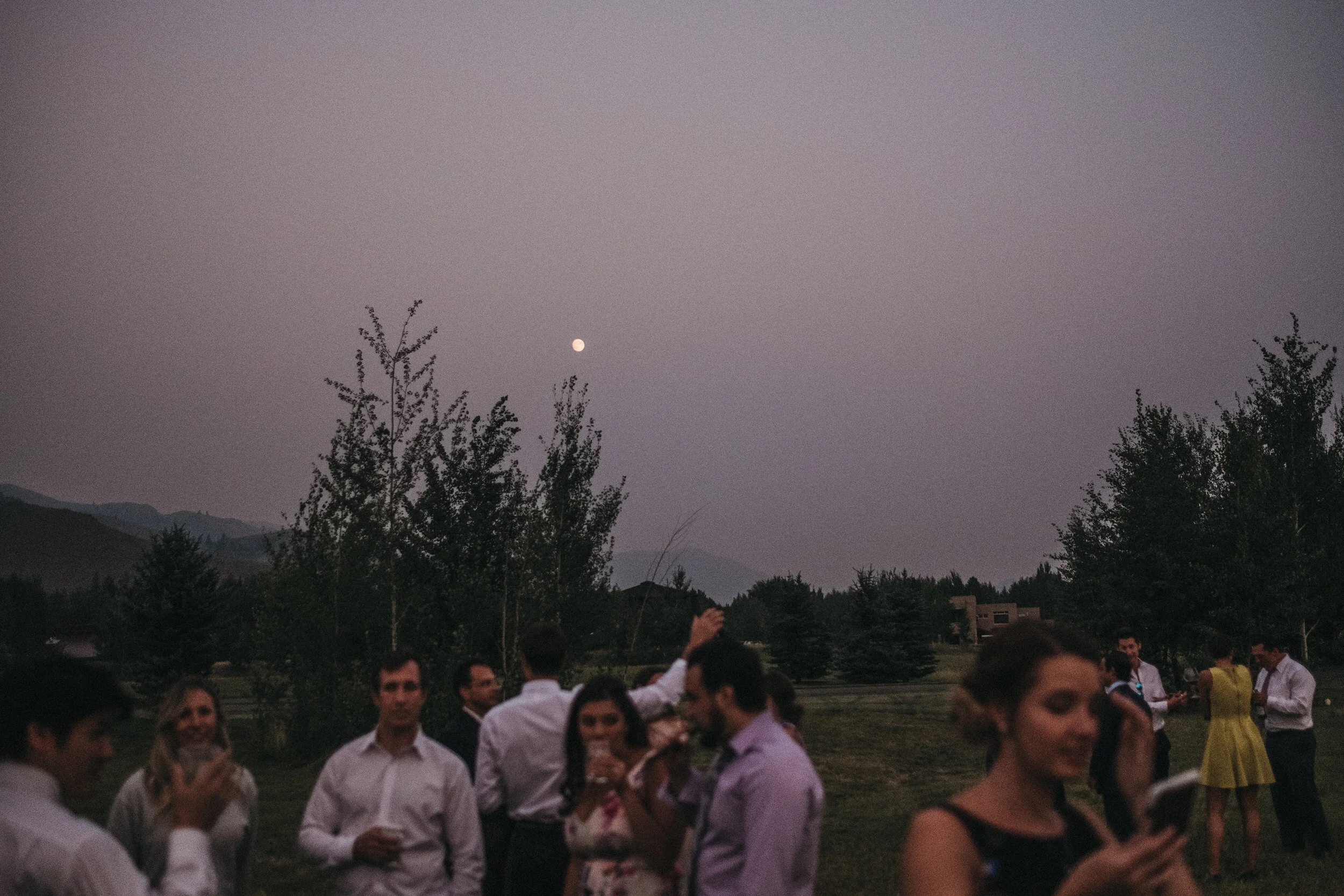 ak_svi_affob3474.JPG