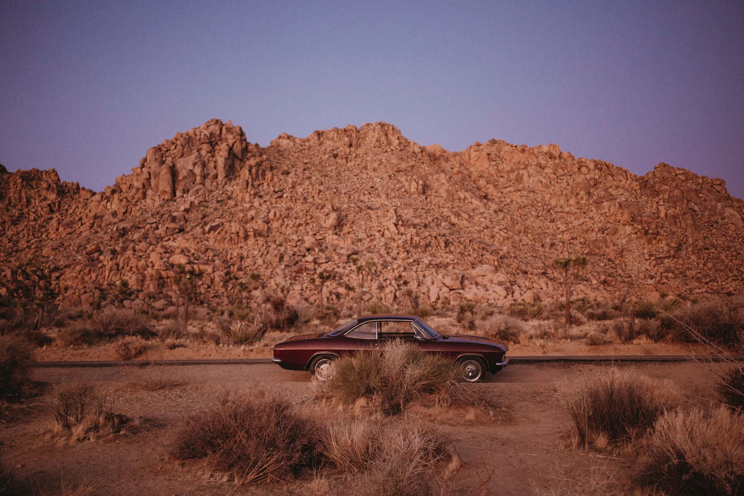 JTREE_AFFOB1081.JPG