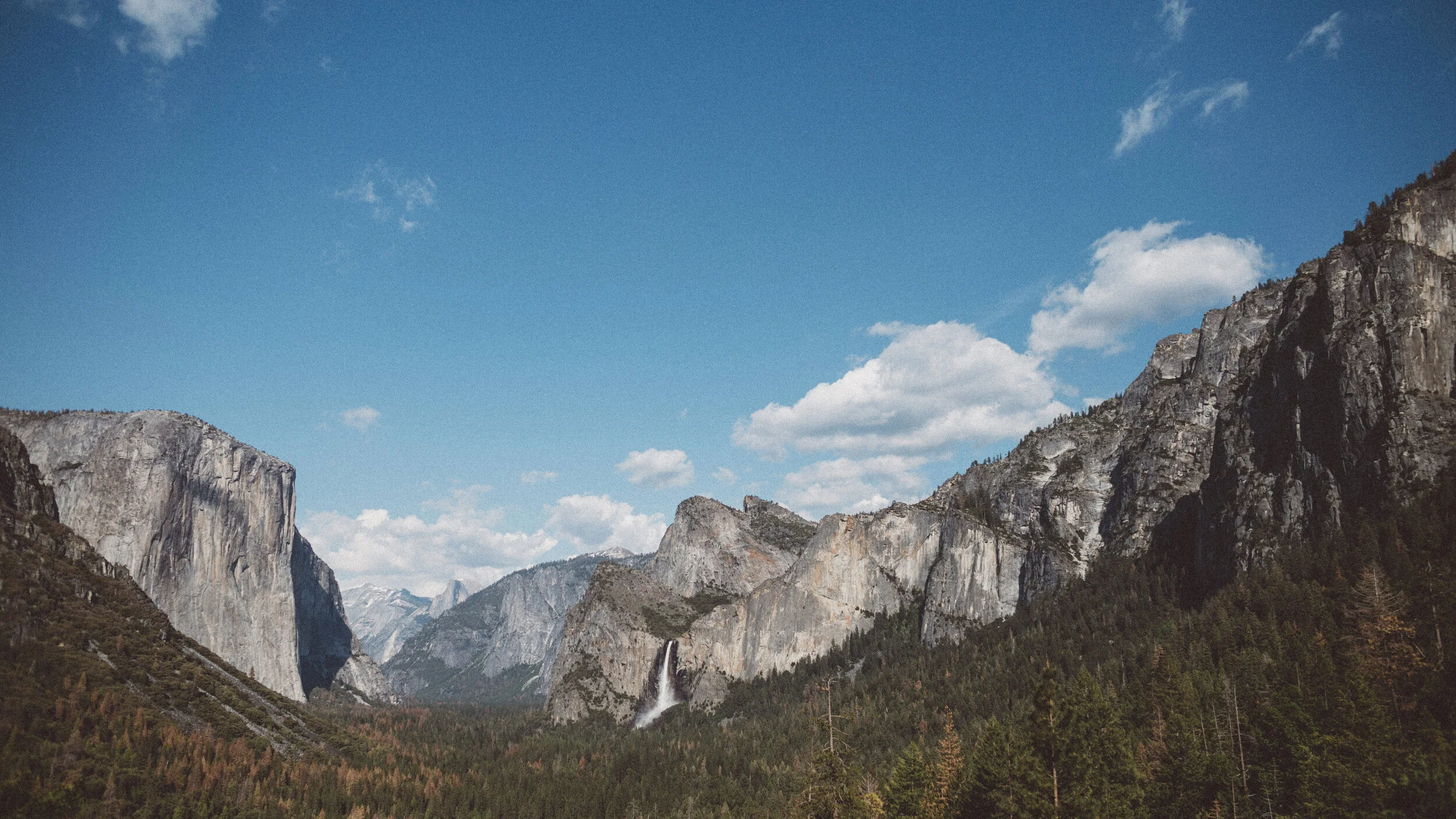 yosemite_national_park_wedding1019.JPG