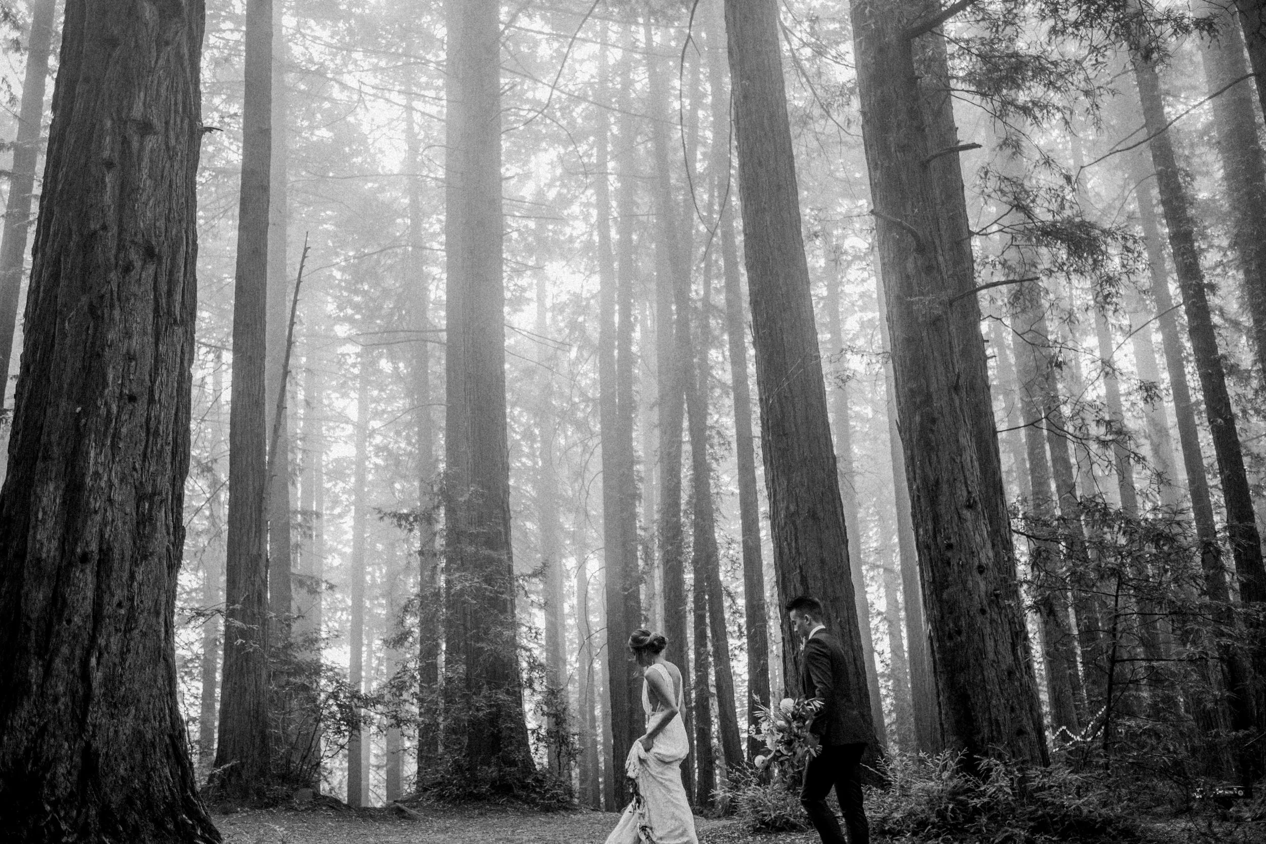 A Morning Wedding at Roberts Regional Park