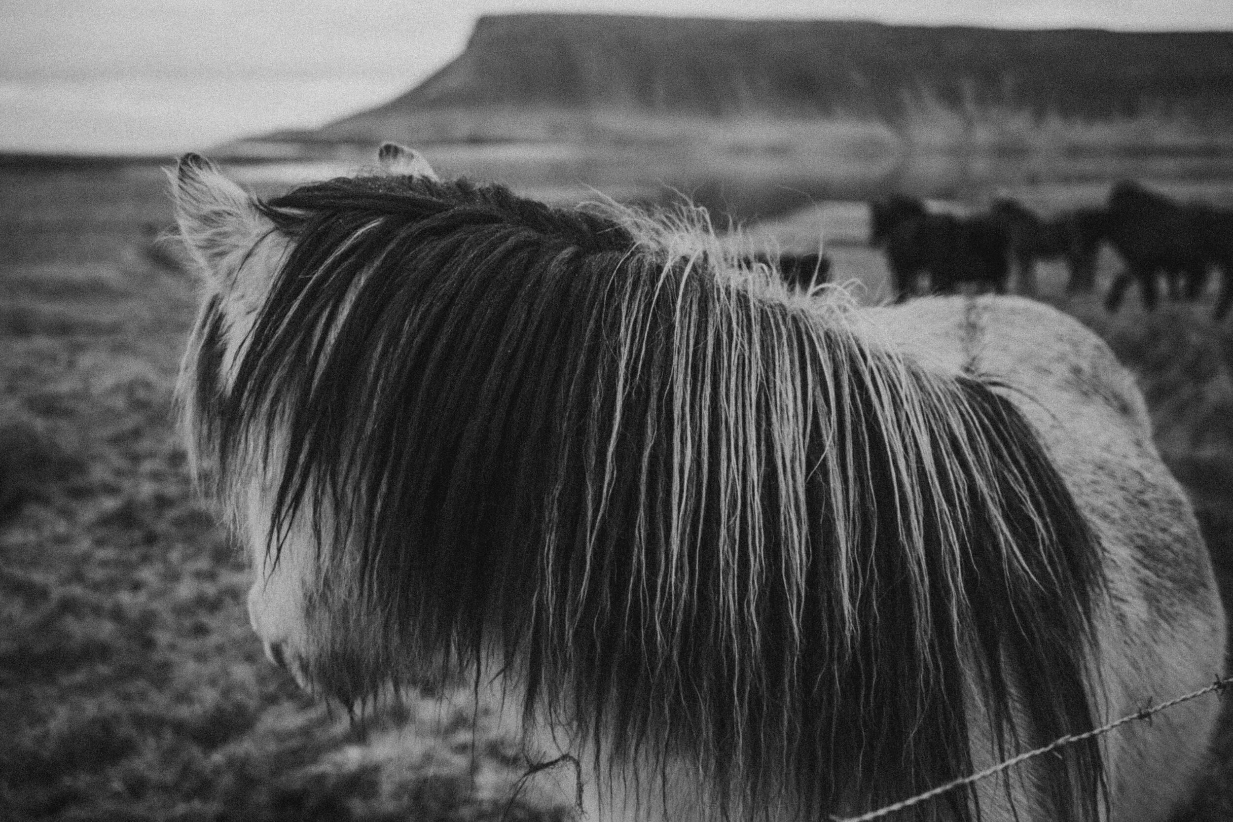 0545iceland1013.JPG