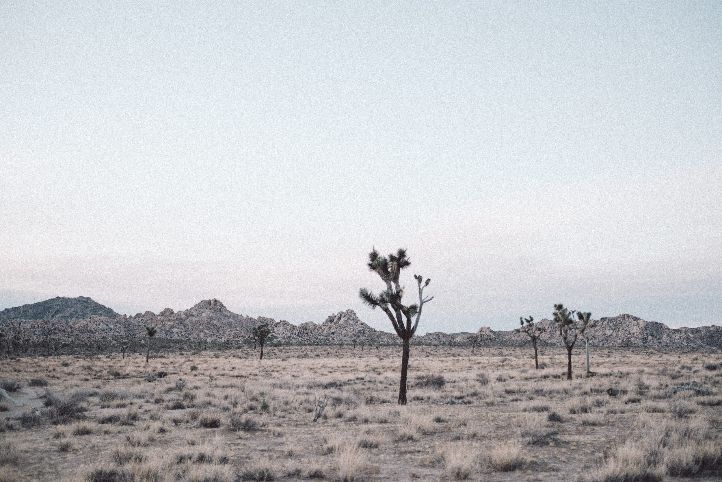 salton_sea-affob1012.JPG