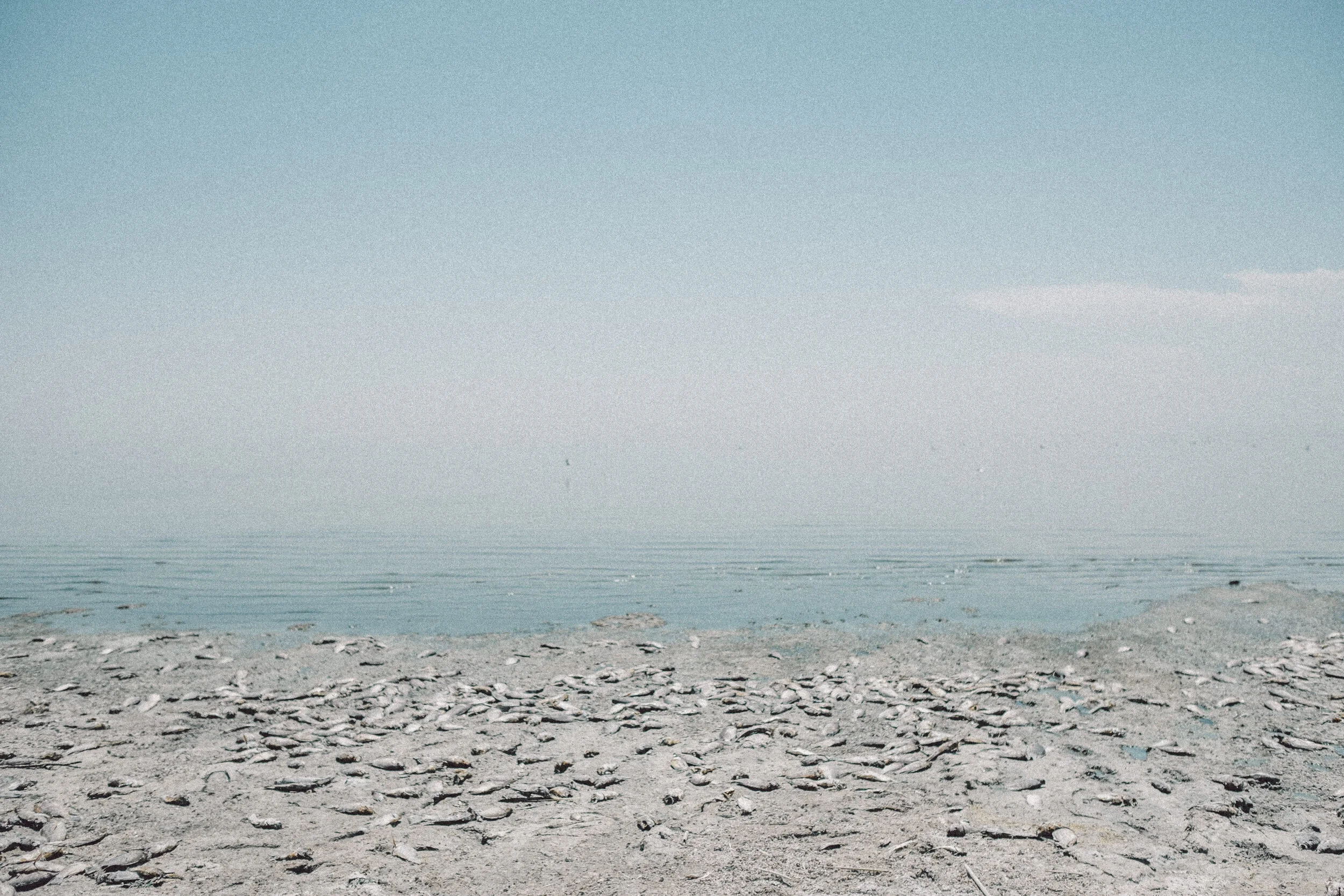 salton_sea-affob1016.JPG