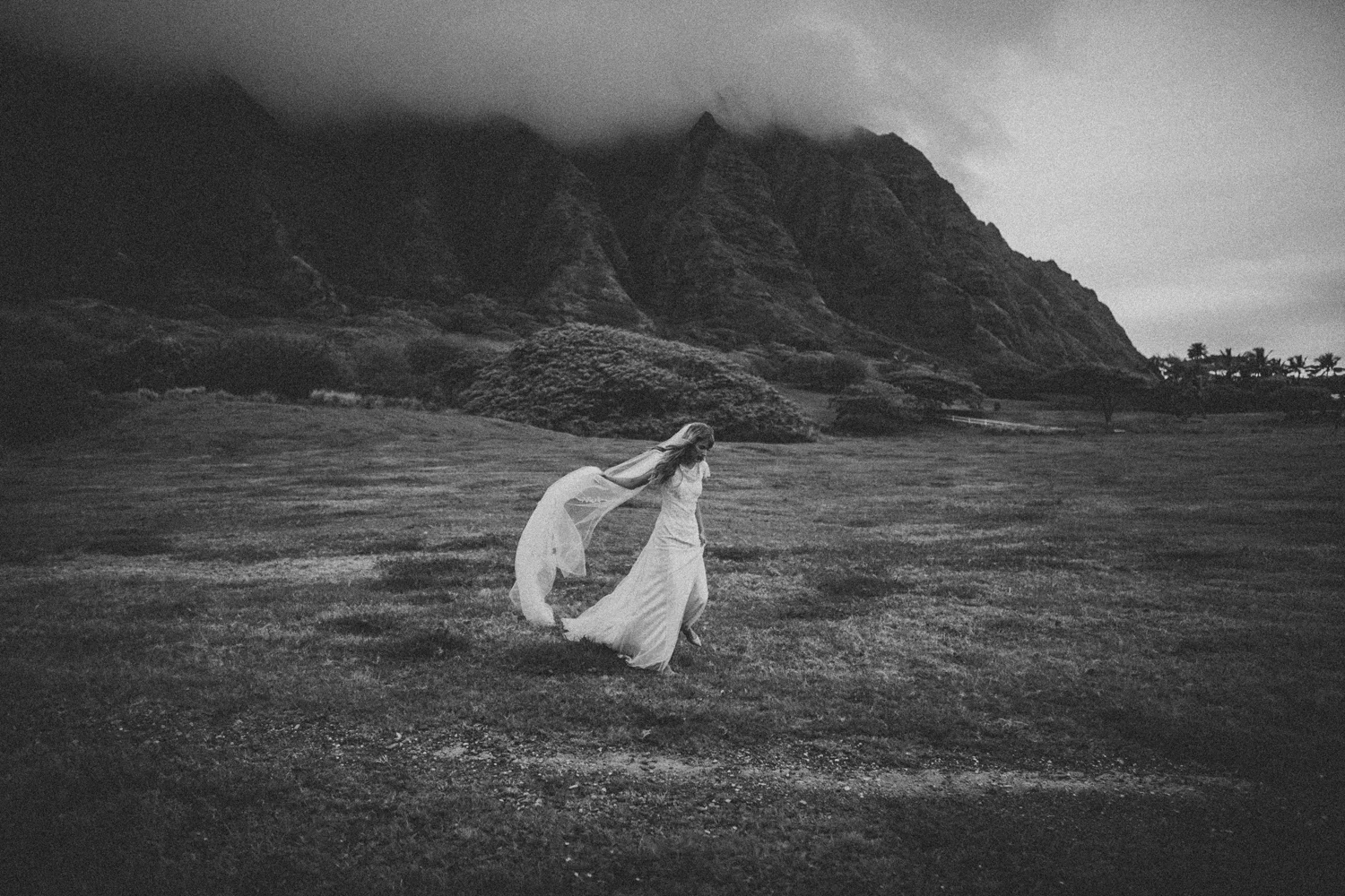 Big Frames From the North Shore