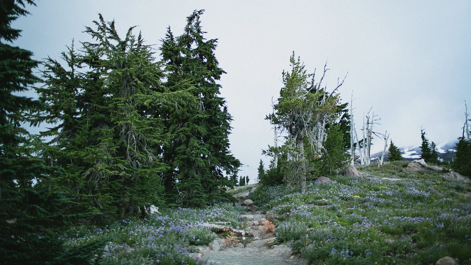 s_m100107.jpg