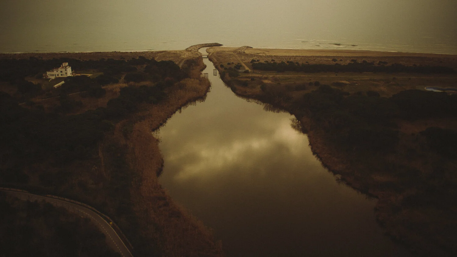 s_m100110.jpg