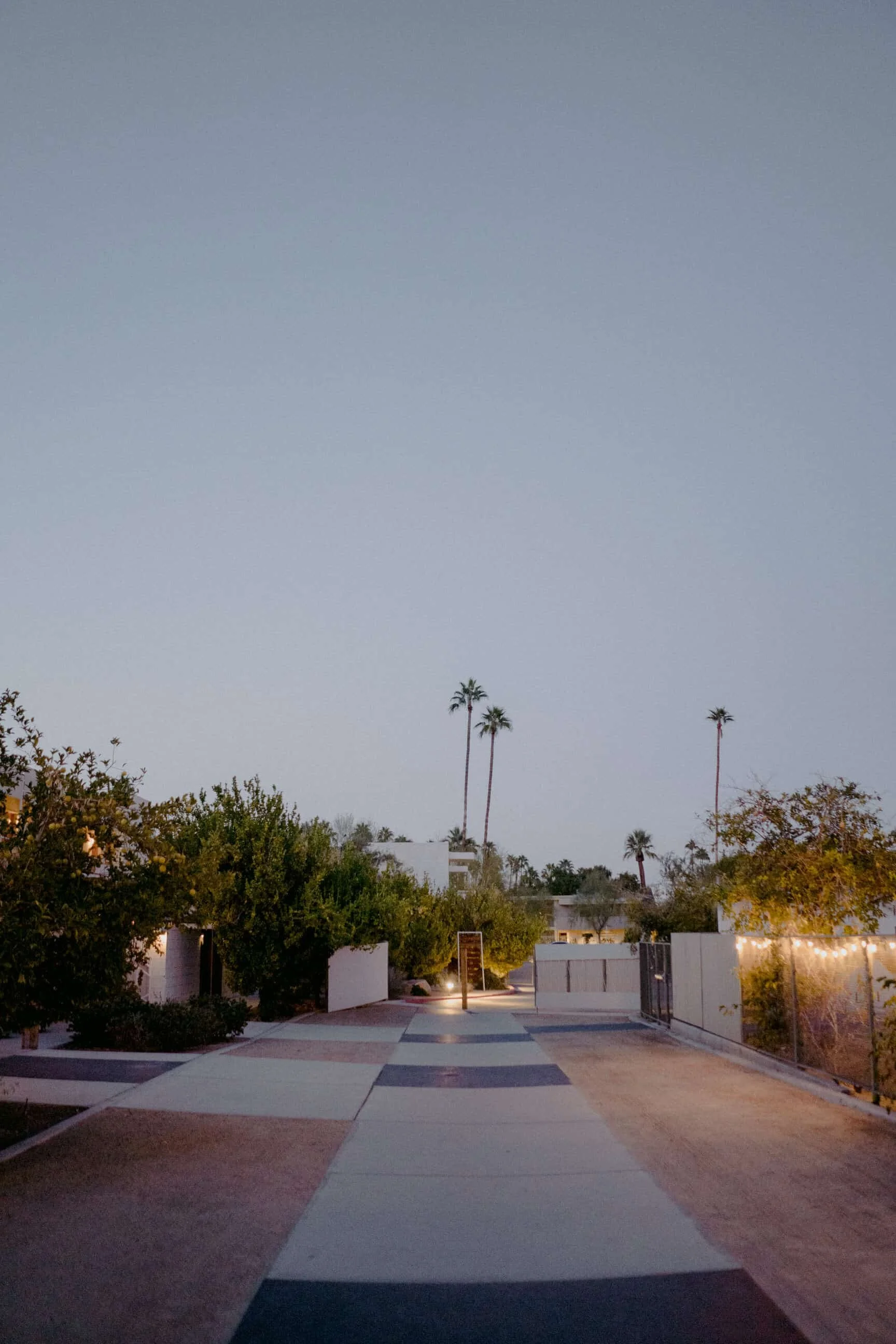 ace-hotel-palm-springs-wedding656.JPG