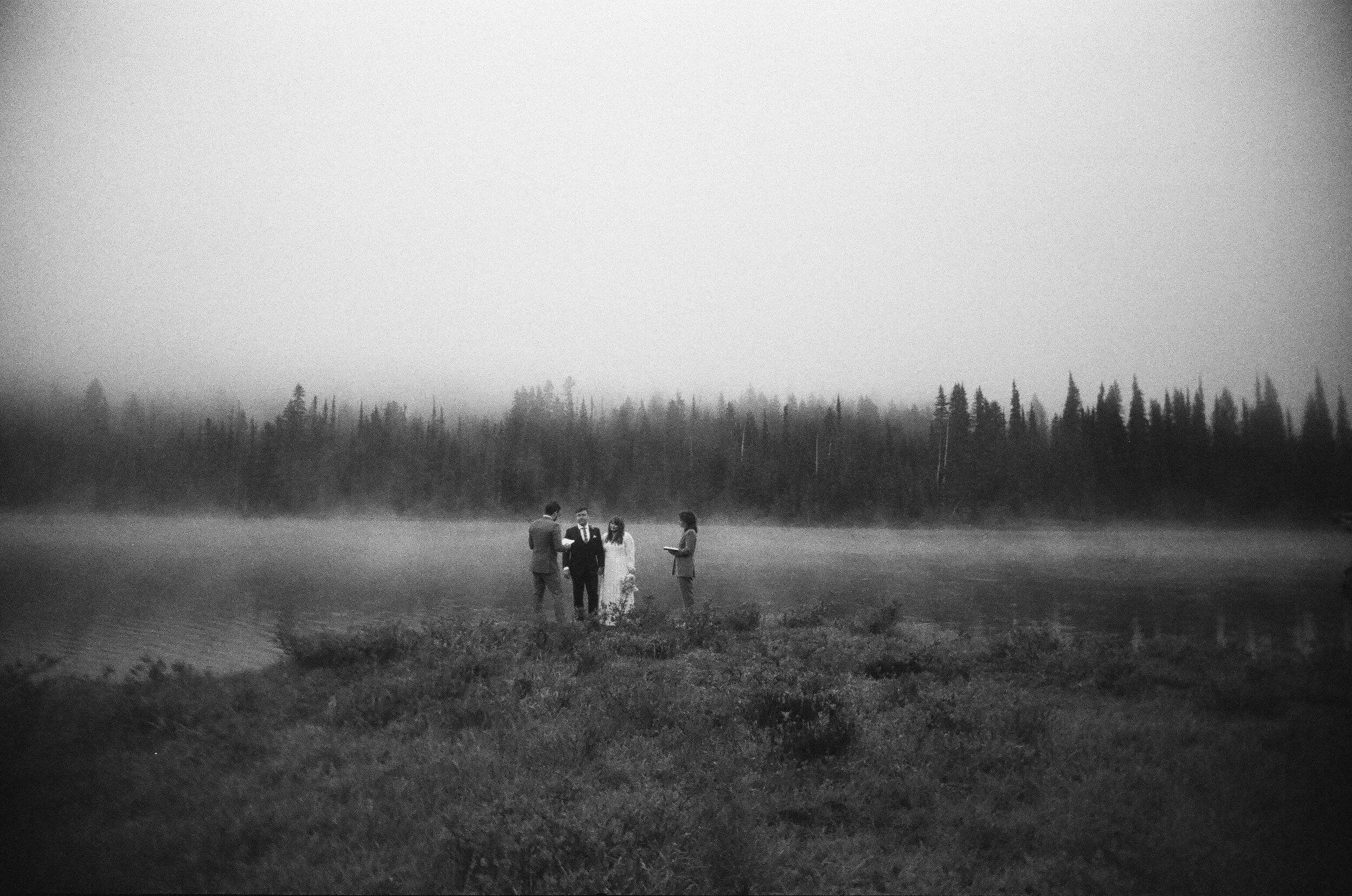mount-rainier-national-park-elopement-film1043.JPG