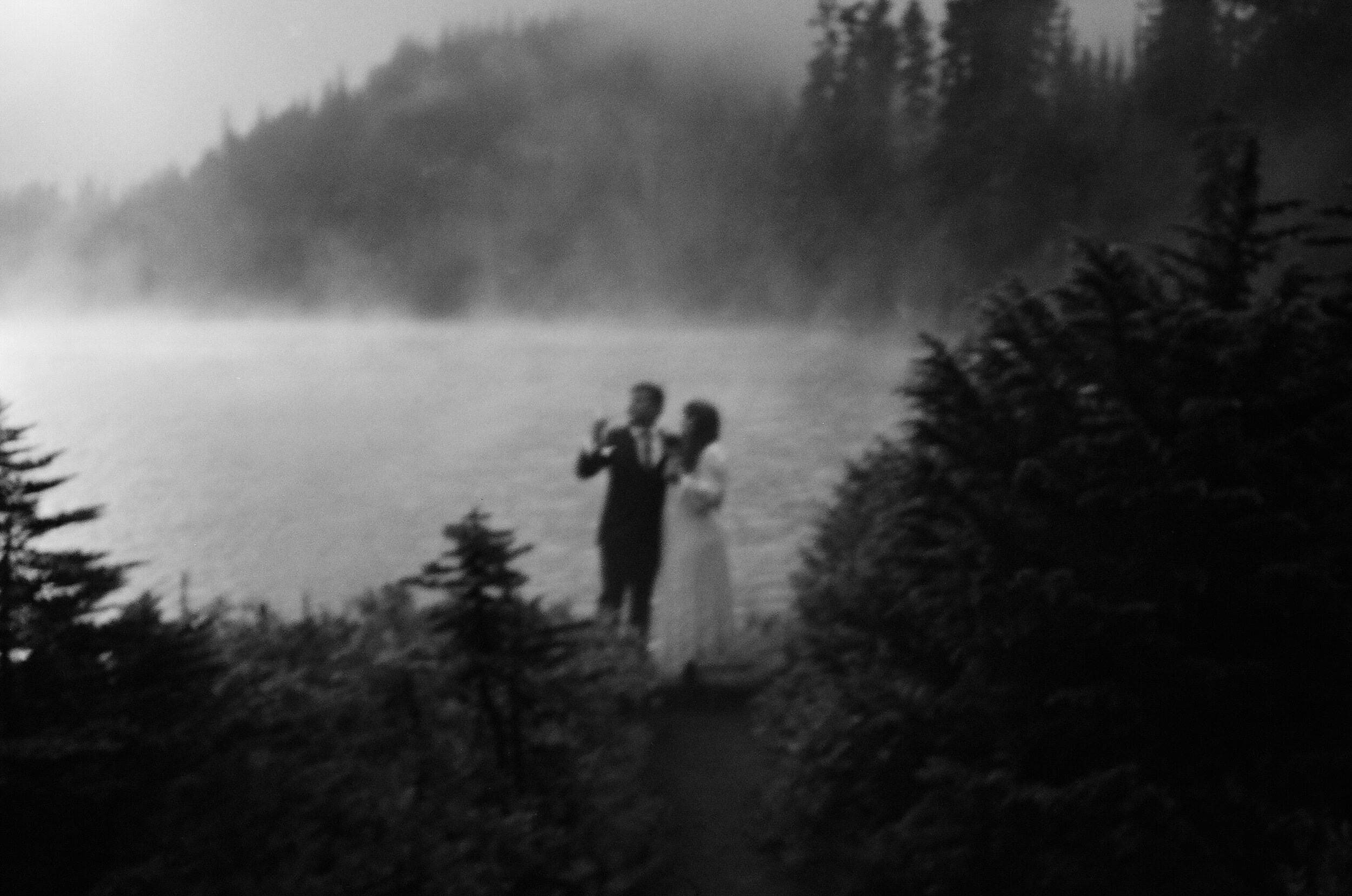 mount-rainier-national-park-elopement-film1068.JPG