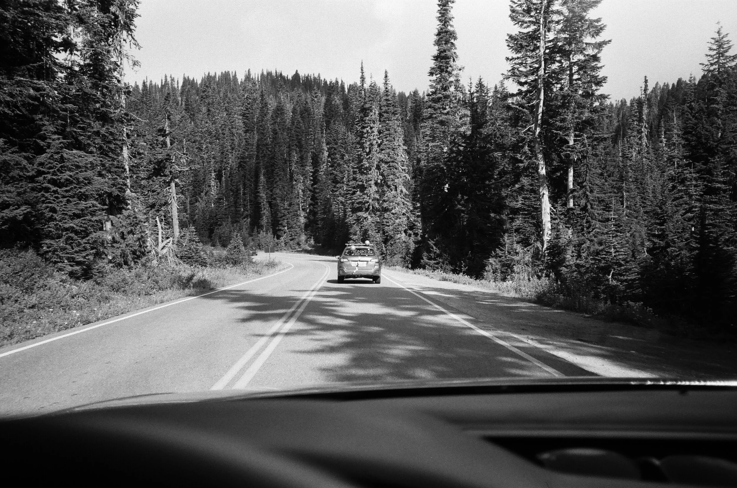 mount-rainier-national-park-elopement-film1162.JPG