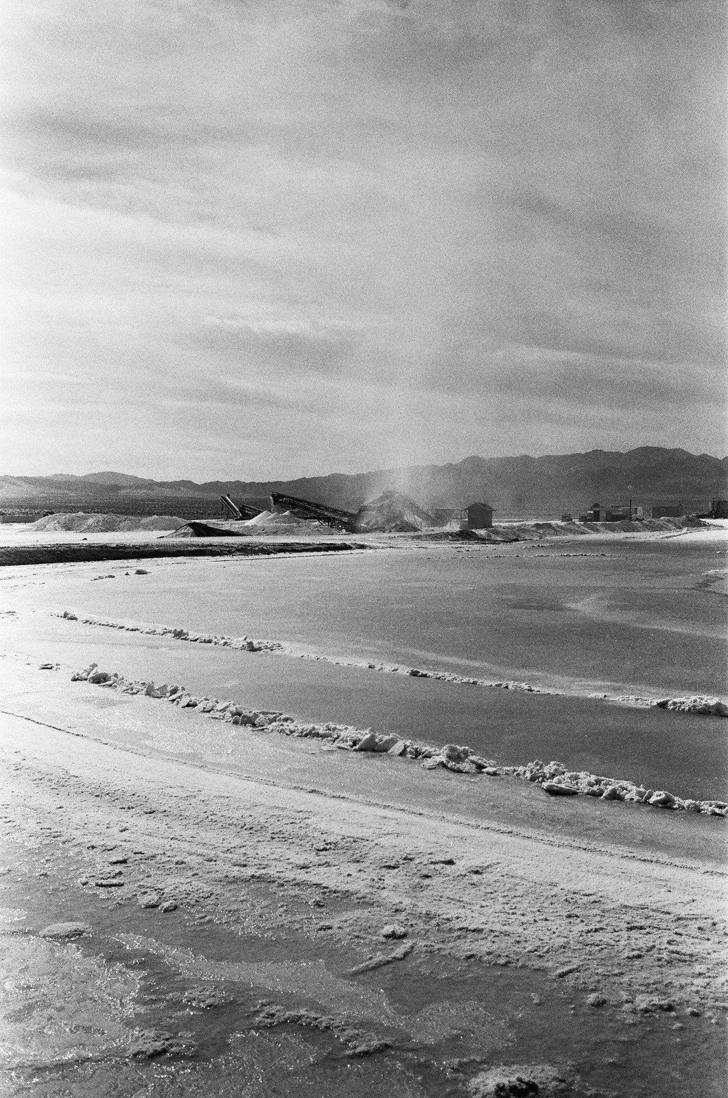 hp5-contax-t2-1007.jpg