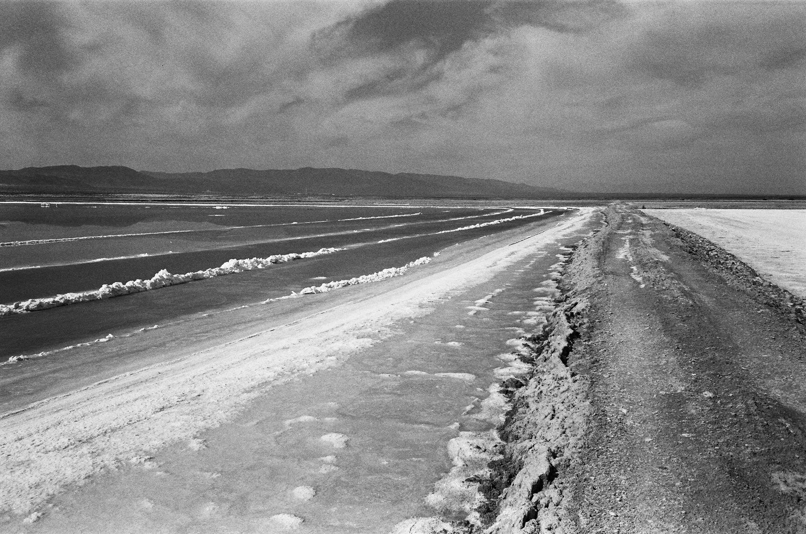 hp5-contax-t2-1008.jpg