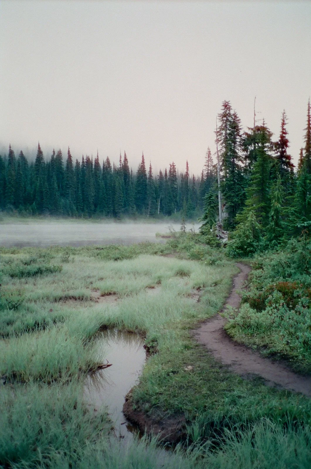cinestil-800-t-contax-t2-1003.jpg