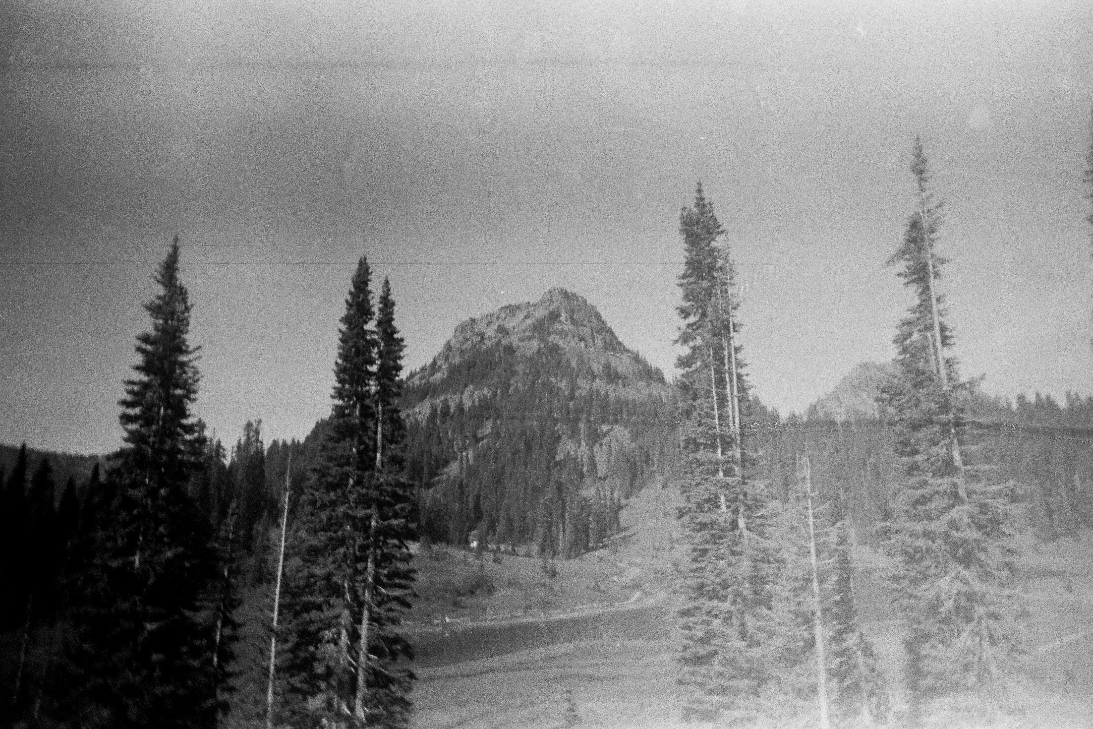 bsd-ilford-delta-3200--1008.jpg