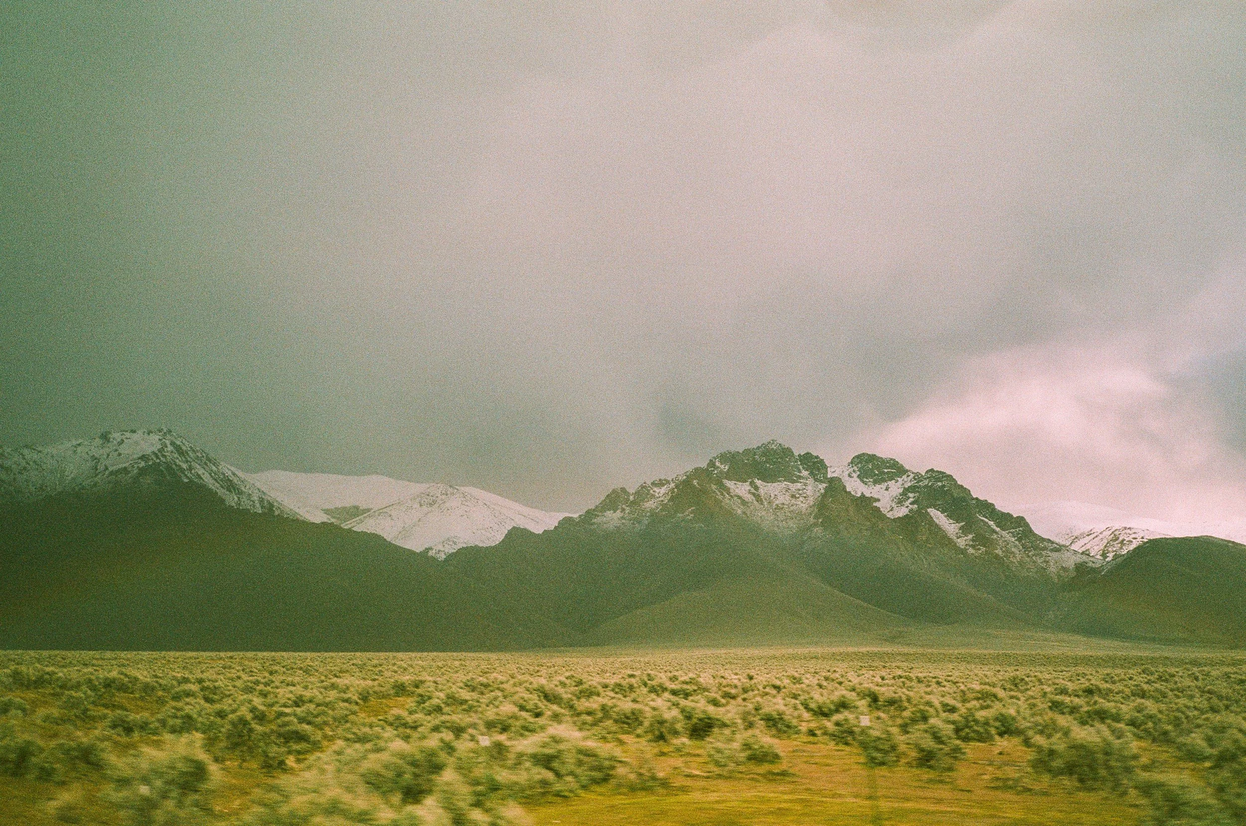009643982.JPG