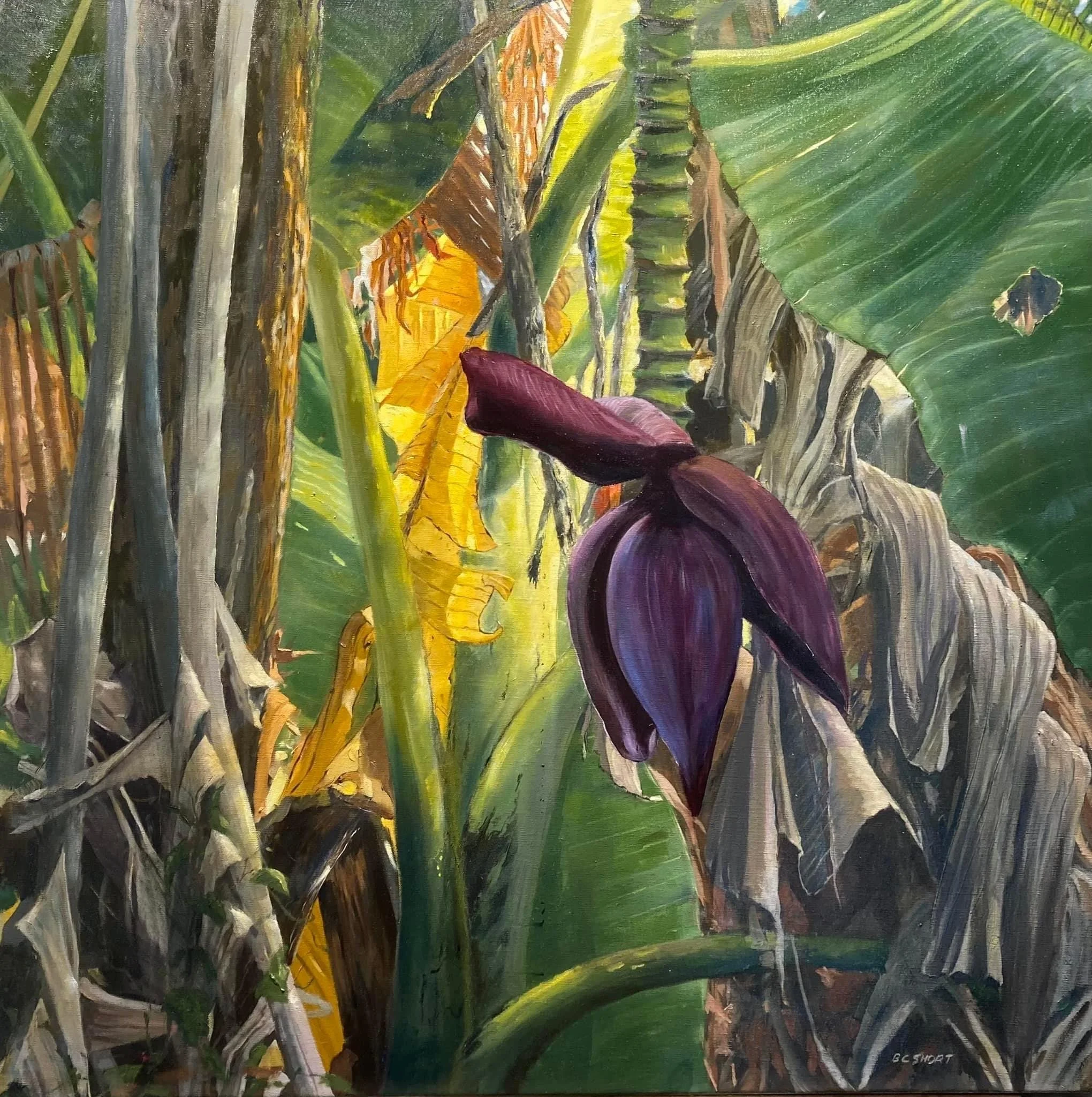 $3,900 | Tropical Landscape | 1000 x 1000 | Oil on Linen