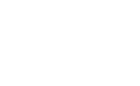 Flamingo Social Club