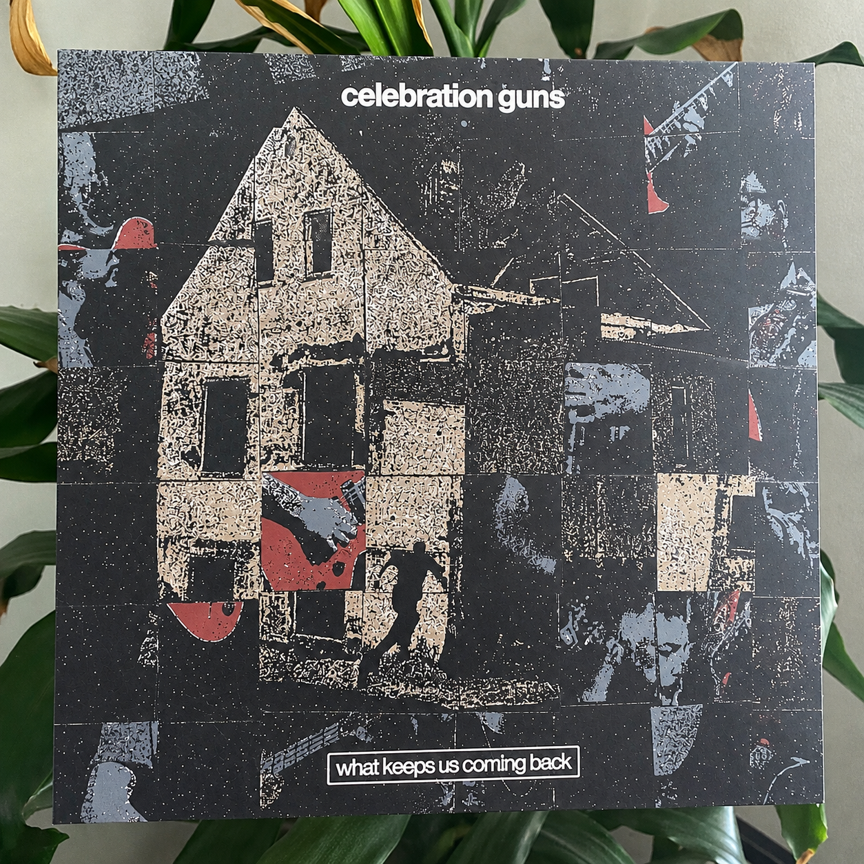 vinyl cover.png