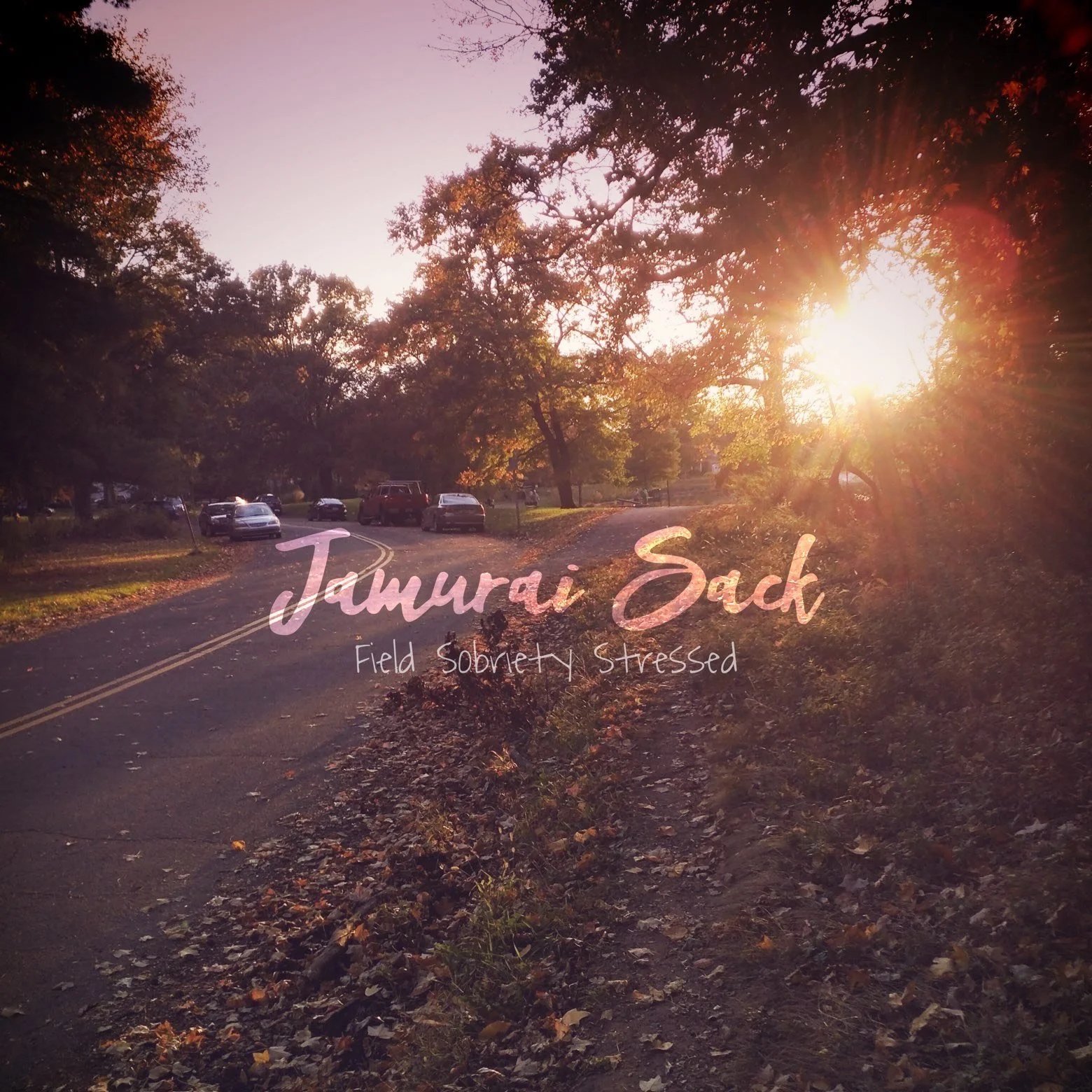 Jamurai Sack – “Field Sobriety Stressed”