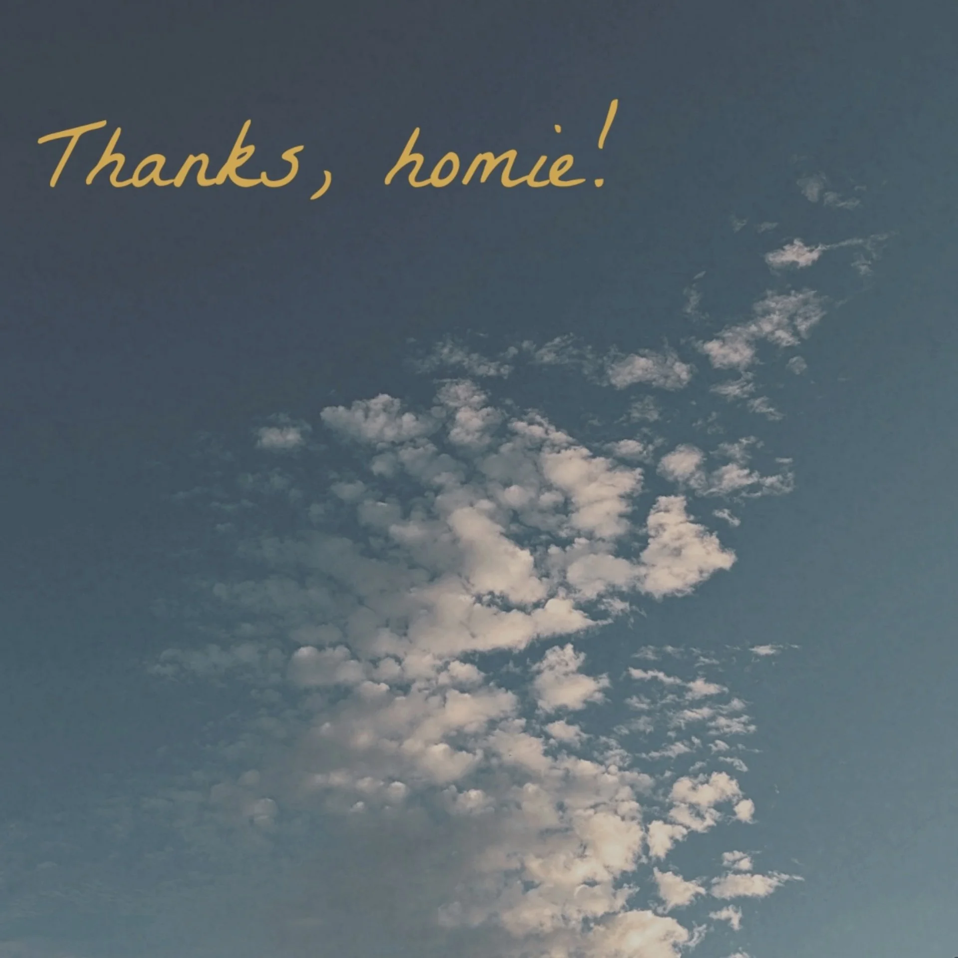 Can you not? – “Thanks, homie!”